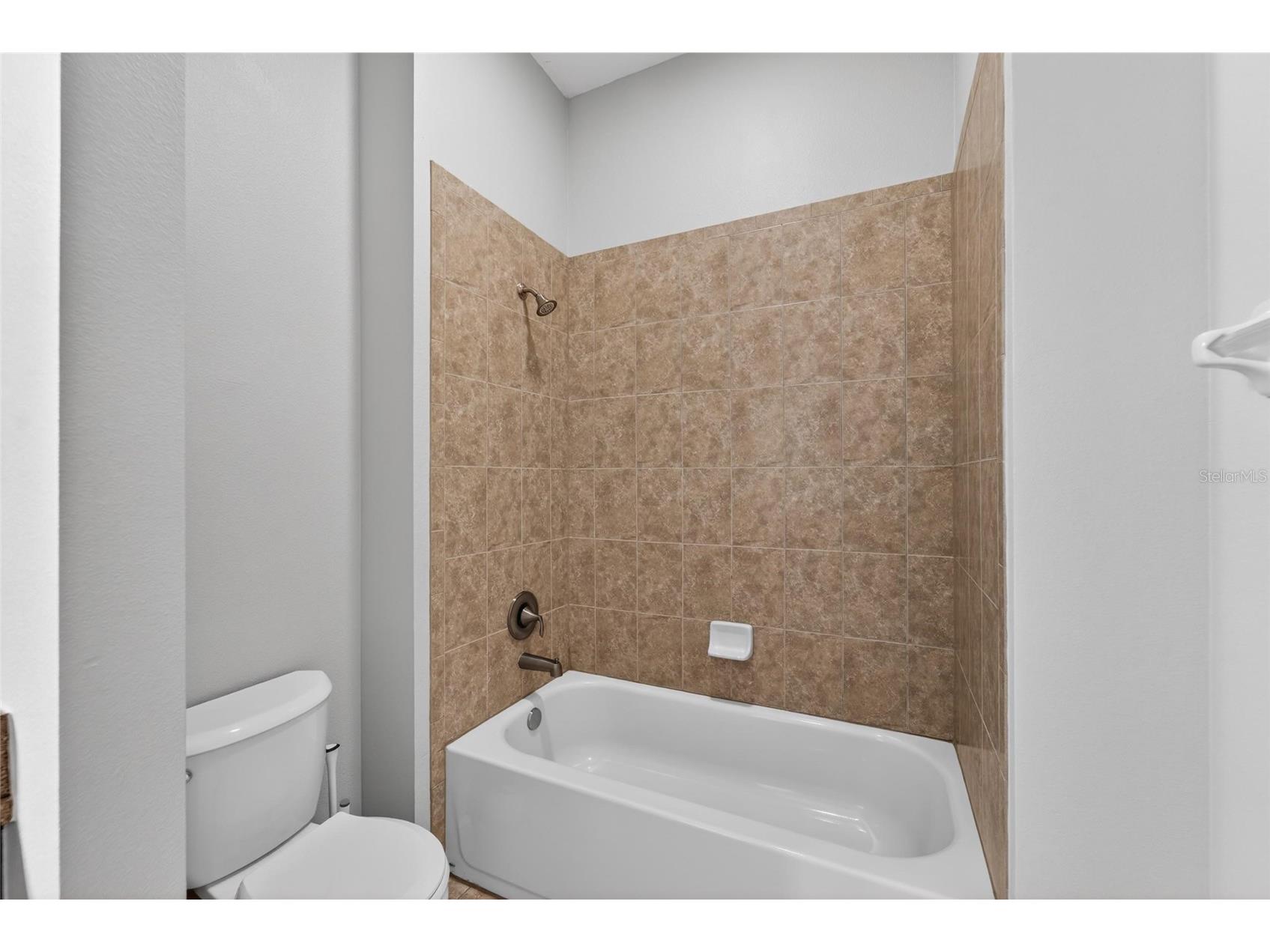 15921 Persimmon Grove Drive Lithia FL 33547 TB8490557 image49