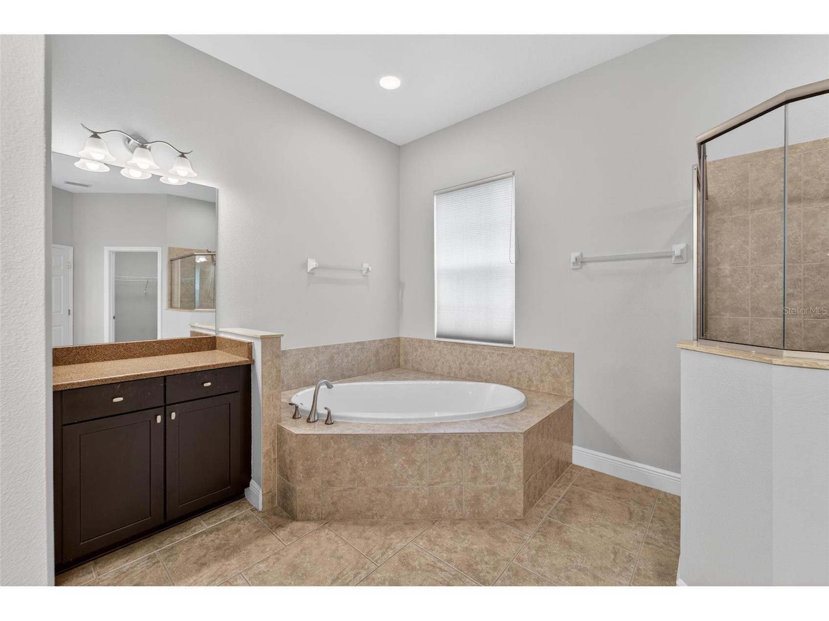 15921 Persimmon Grove Drive Lithia FL 33547 TB8490557 image59