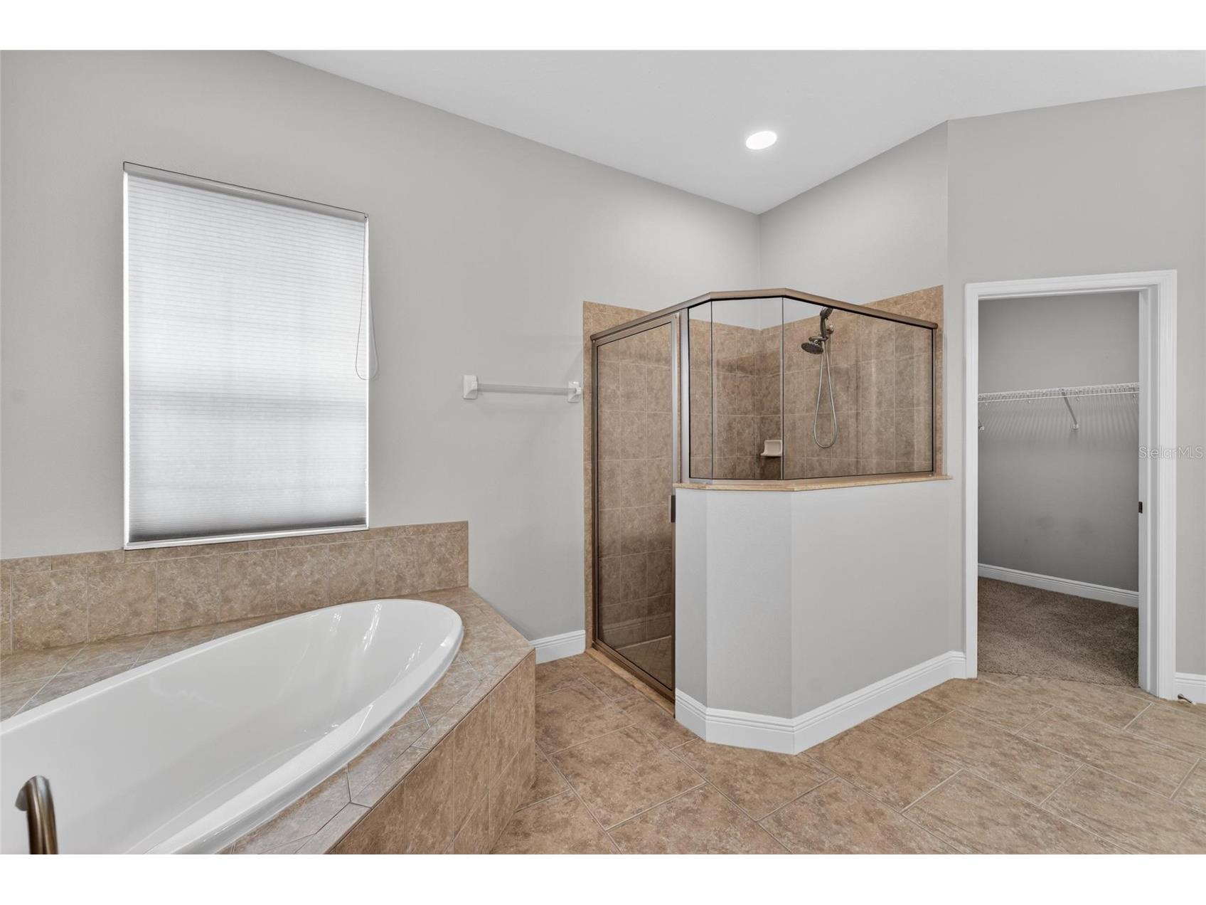 15921 Persimmon Grove Drive Lithia FL 33547 TB8490557 image60