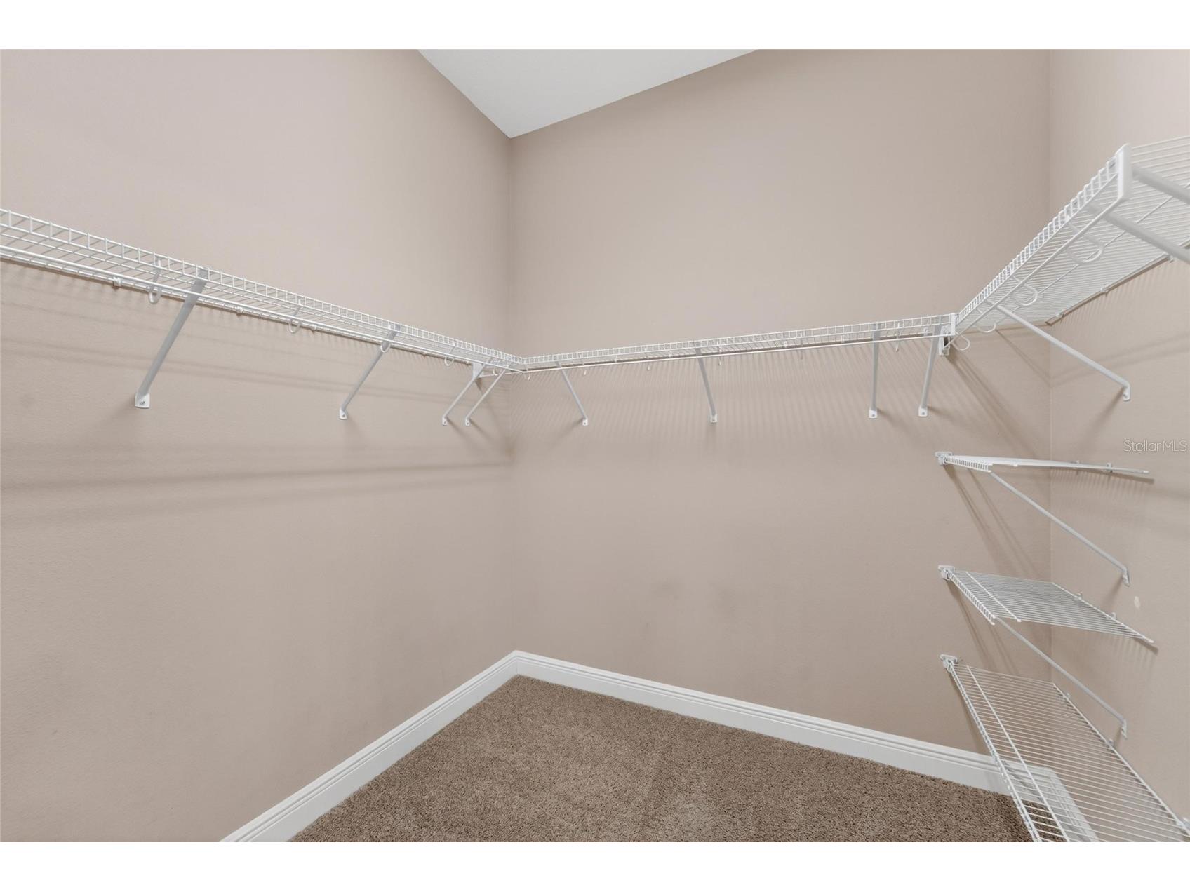 15921 Persimmon Grove Drive Lithia FL 33547 TB8490557 image61