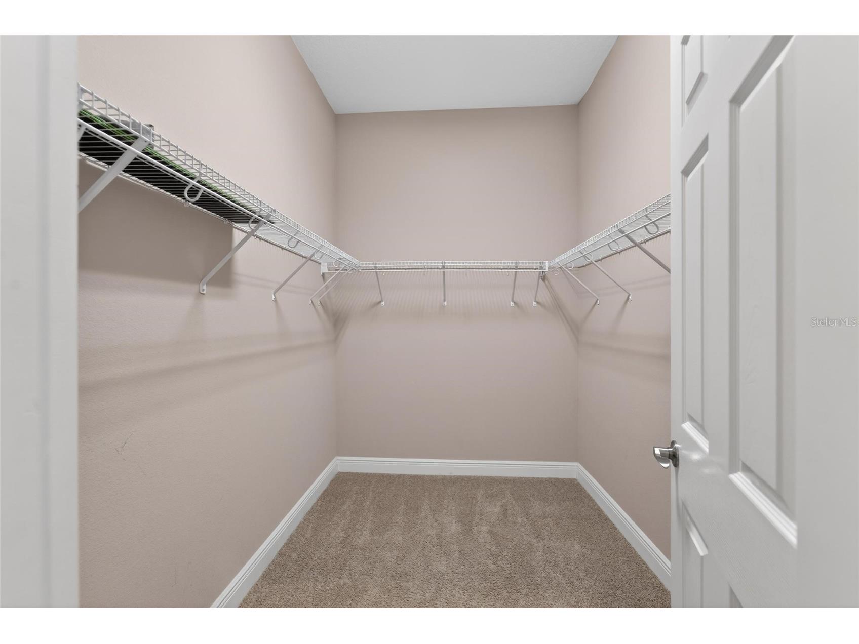 15921 Persimmon Grove Drive Lithia FL 33547 TB8490557 image62