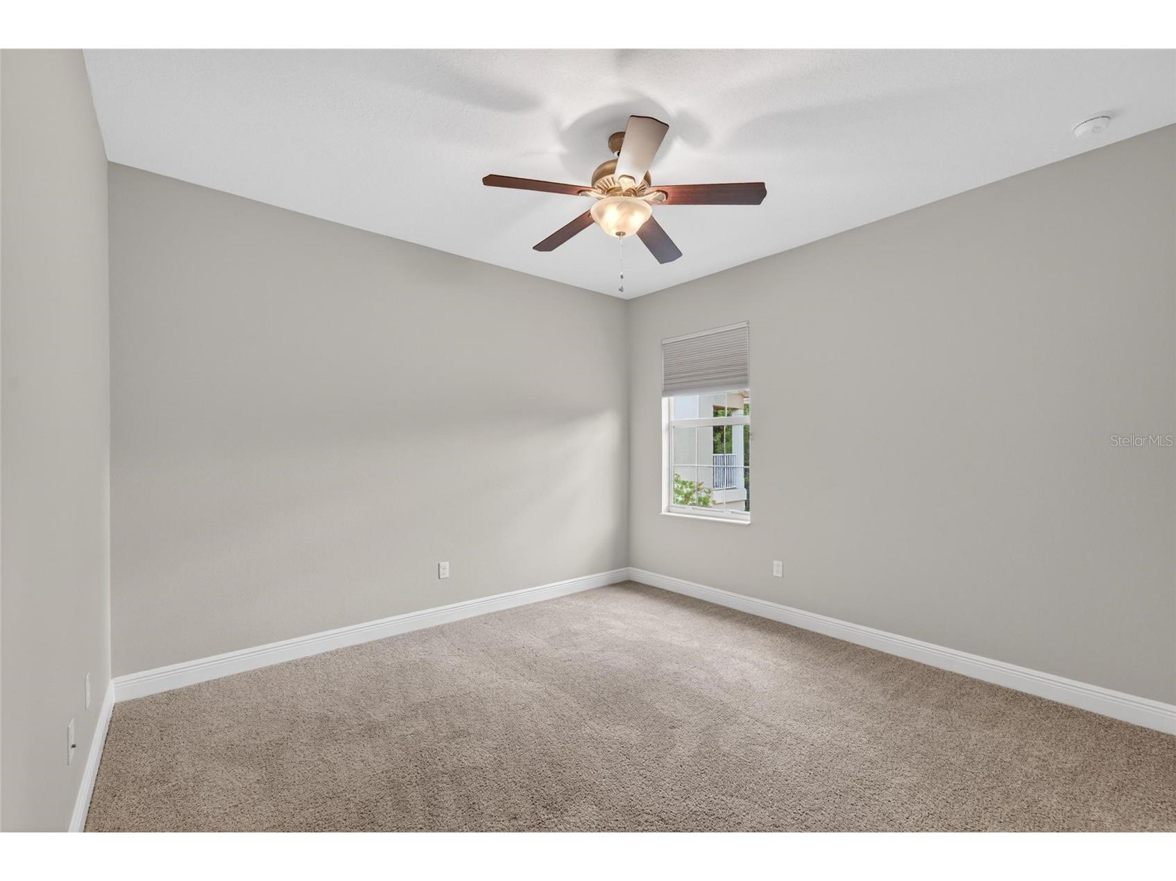 15921 Persimmon Grove Drive Lithia FL 33547 TB8490557 image74