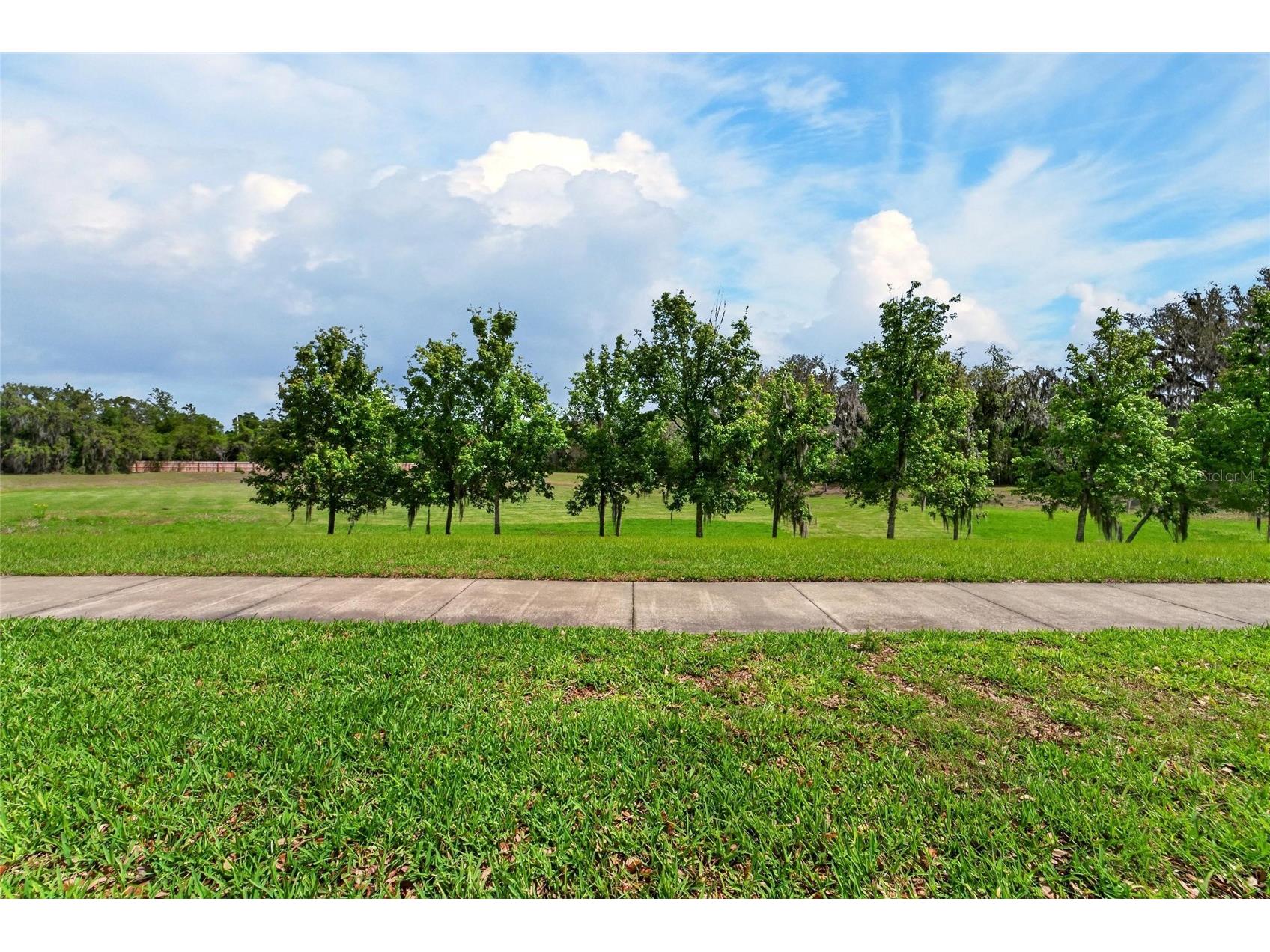 15921 Persimmon Grove Drive Lithia FL 33547 TB8490557 image78