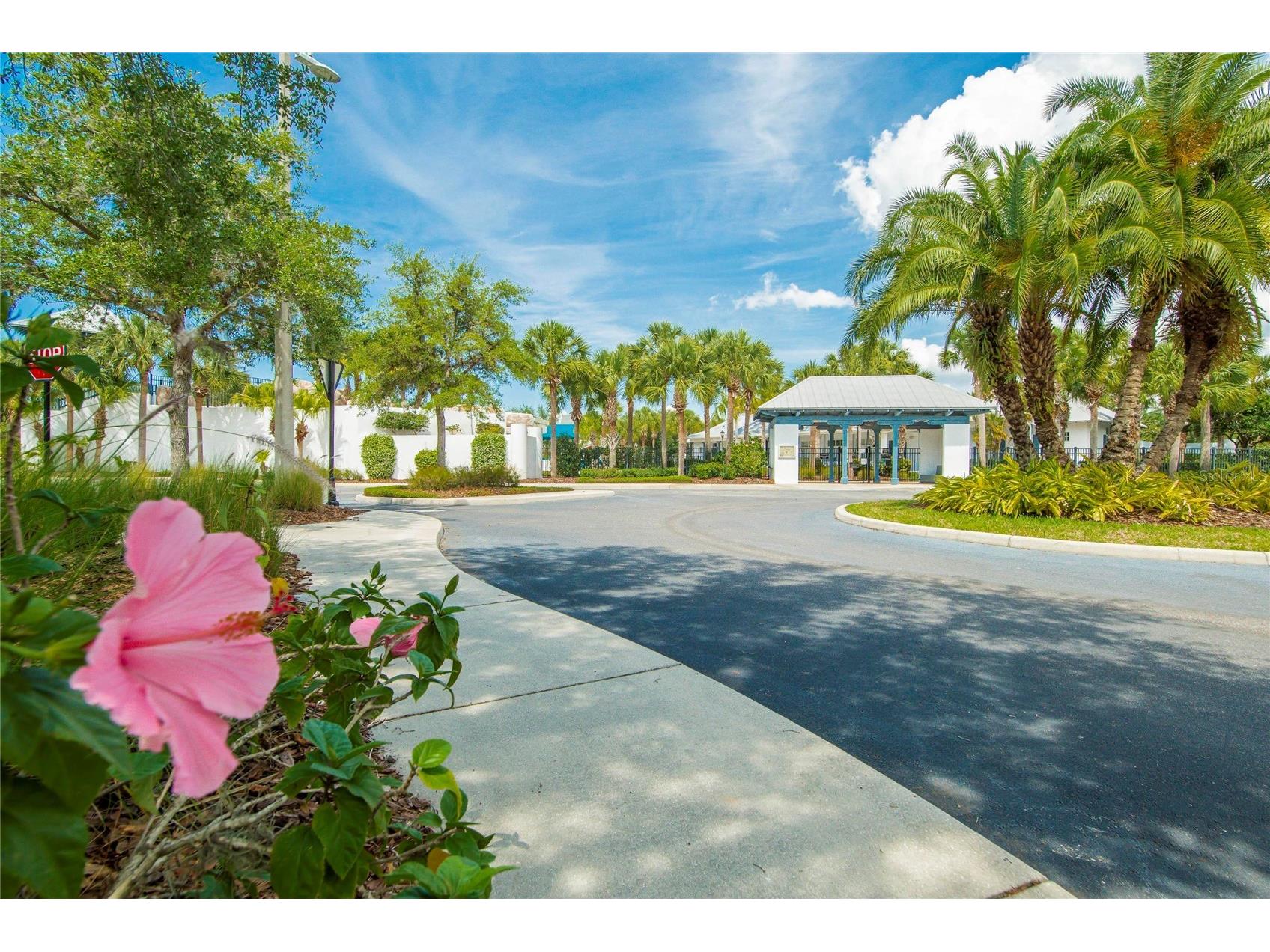 15921 Persimmon Grove Drive Lithia FL 33547 TB8490557 image83