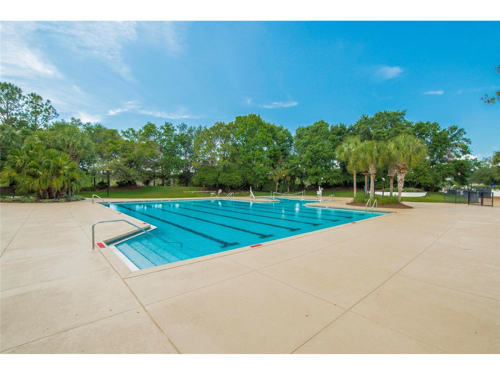 15921 Persimmon Grove Drive Lithia FL 33547 TB8490557 image84