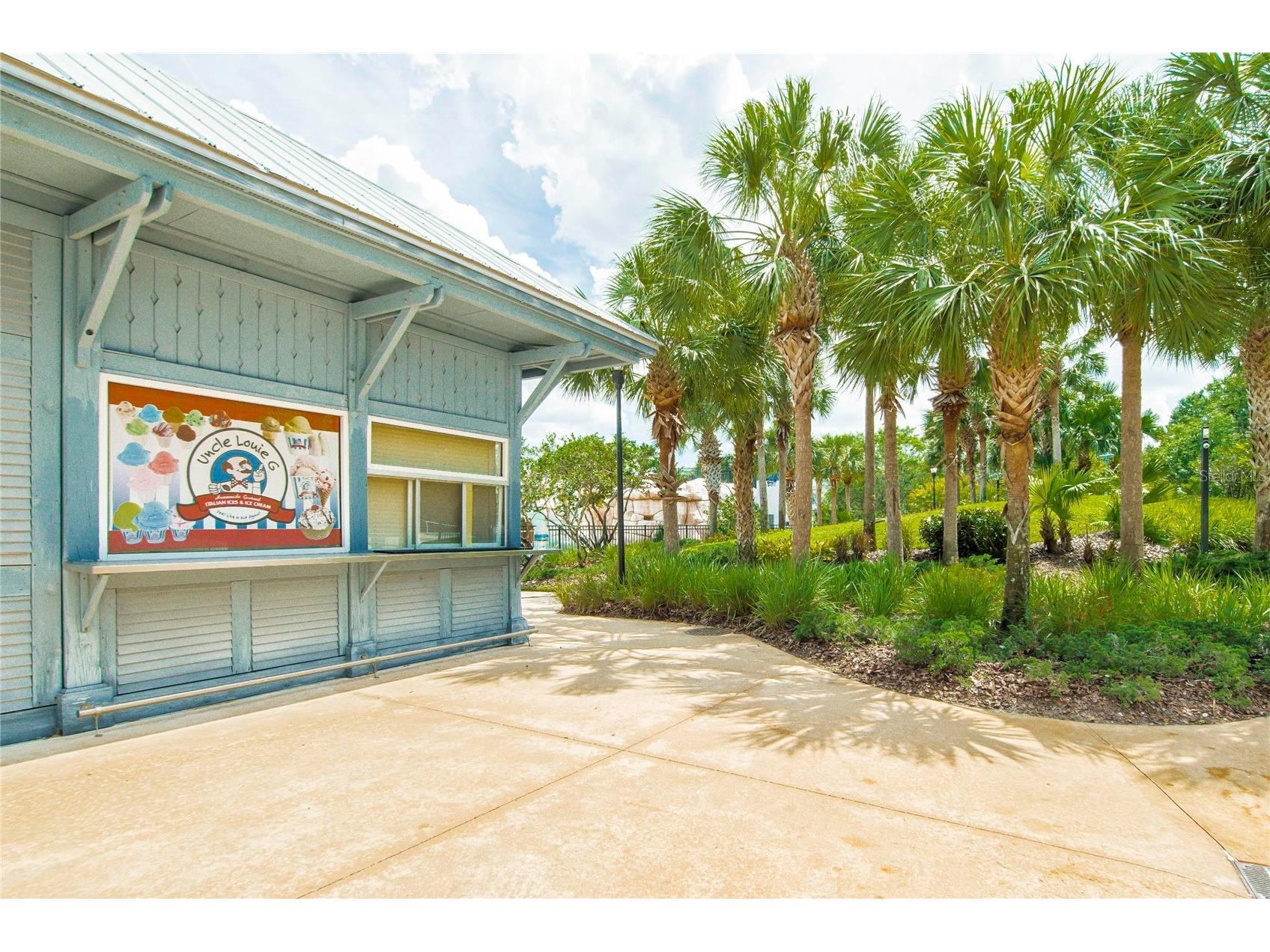 15921 Persimmon Grove Drive Lithia FL 33547 TB8490557 image86