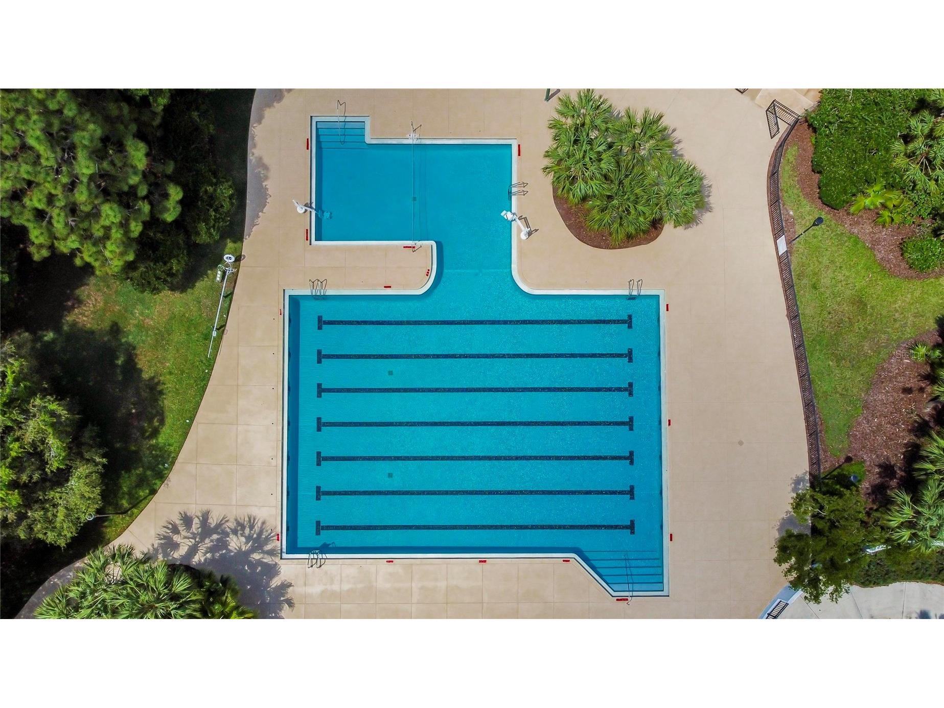 15921 Persimmon Grove Drive Lithia FL 33547 TB8490557 image95