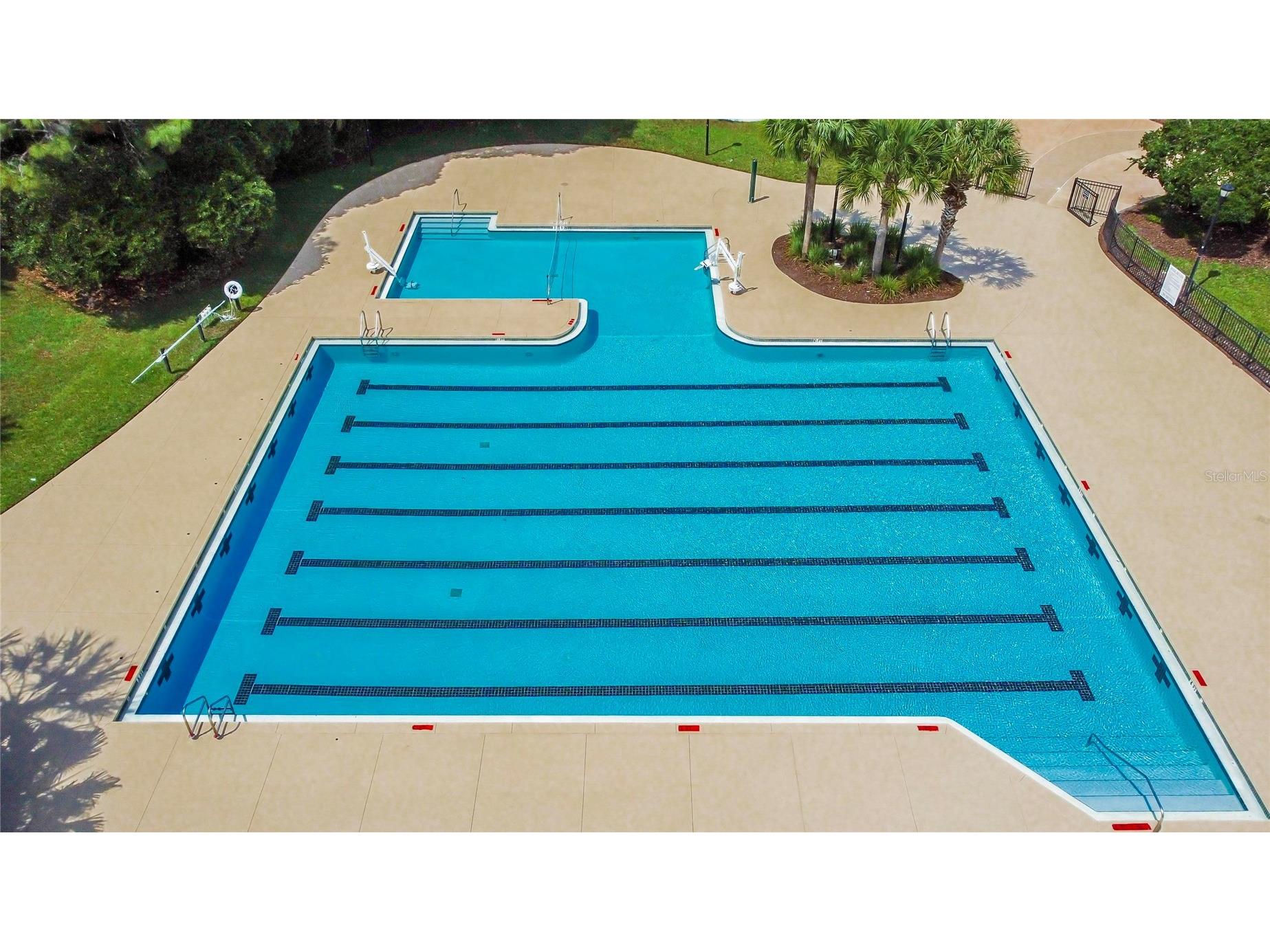 15921 Persimmon Grove Drive Lithia FL 33547 TB8490557 image96