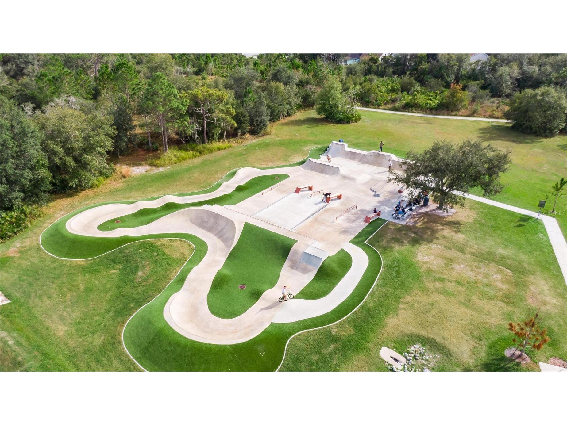 15921 Persimmon Grove Drive Lithia FL 33547 TB8490557 image98