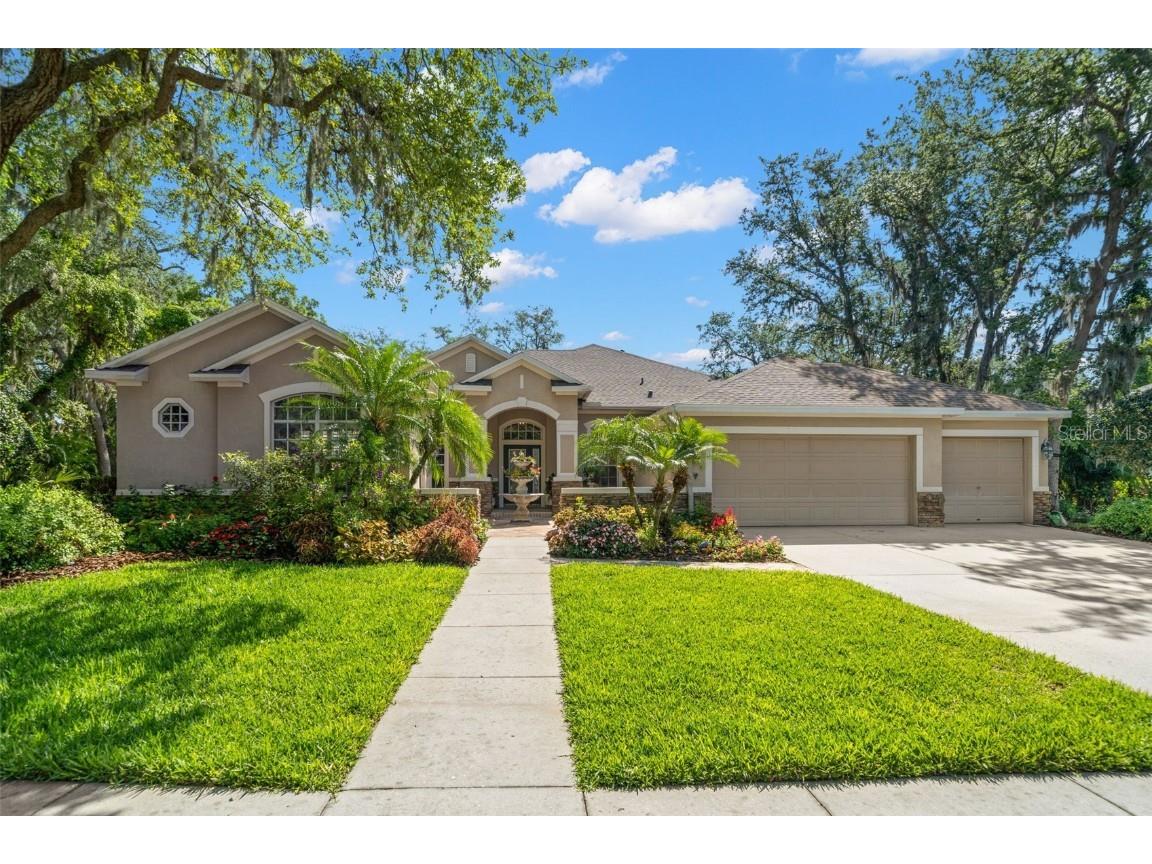 15921 Sorawater Drive Lithia FL 33547 T3523380 image1