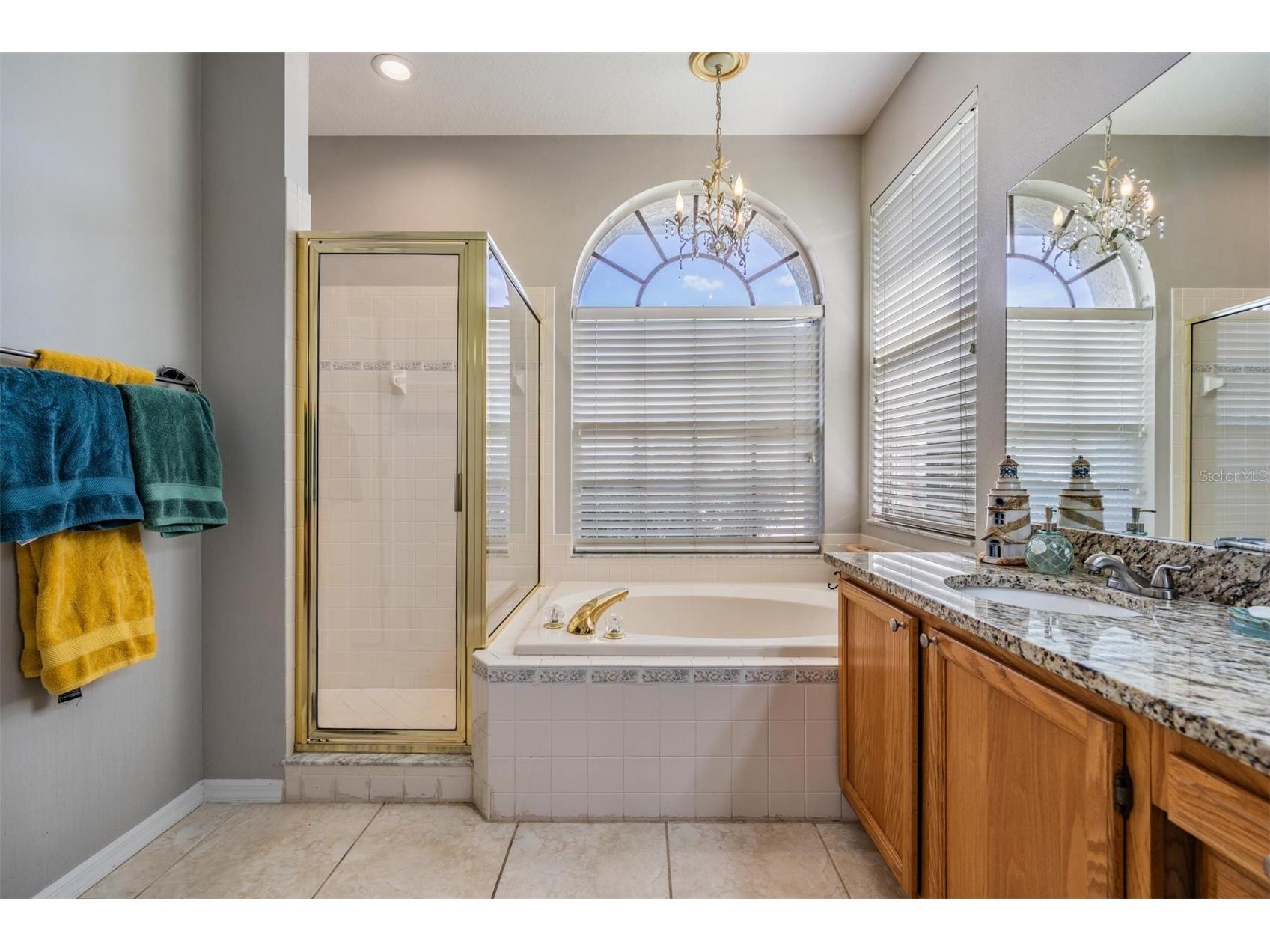 15922 Muirfield Drive Odessa FL 33556 TB8497721 image14