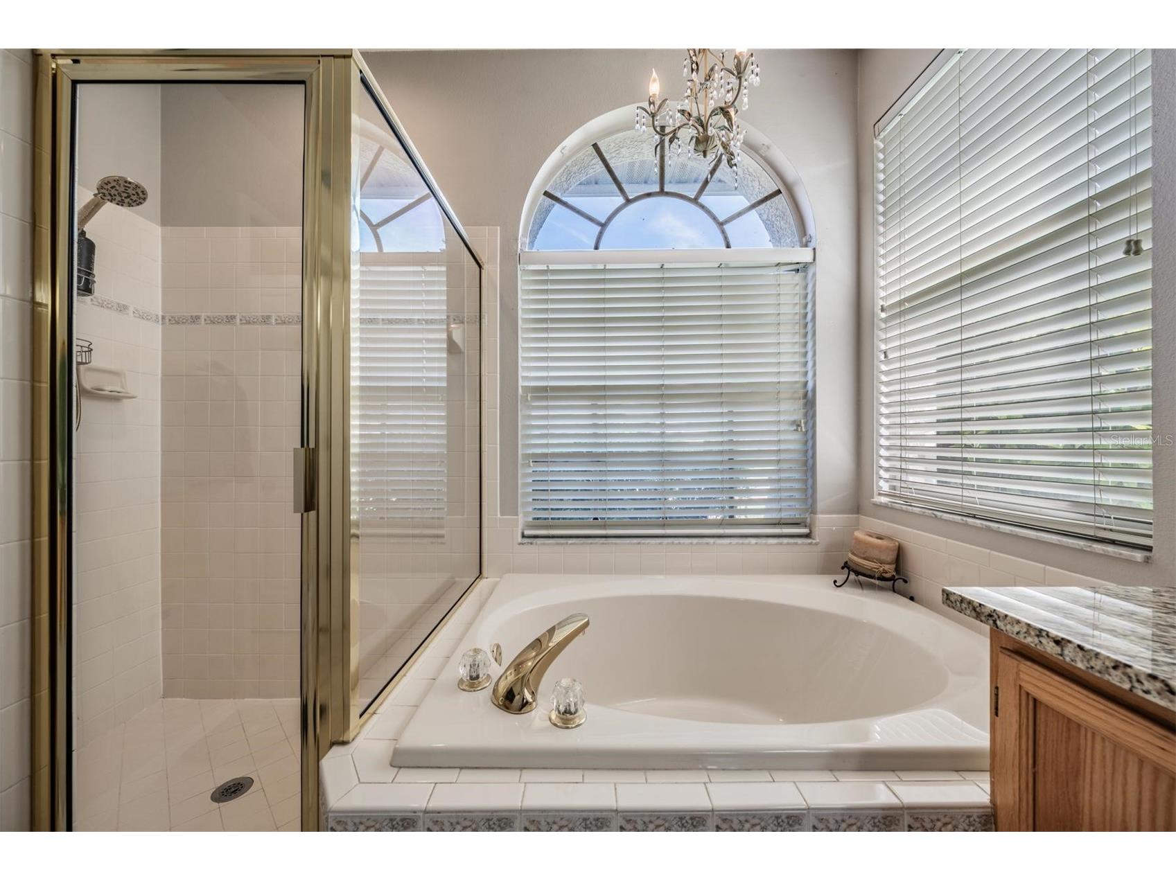 15922 Muirfield Drive Odessa FL 33556 TB8497721 image15