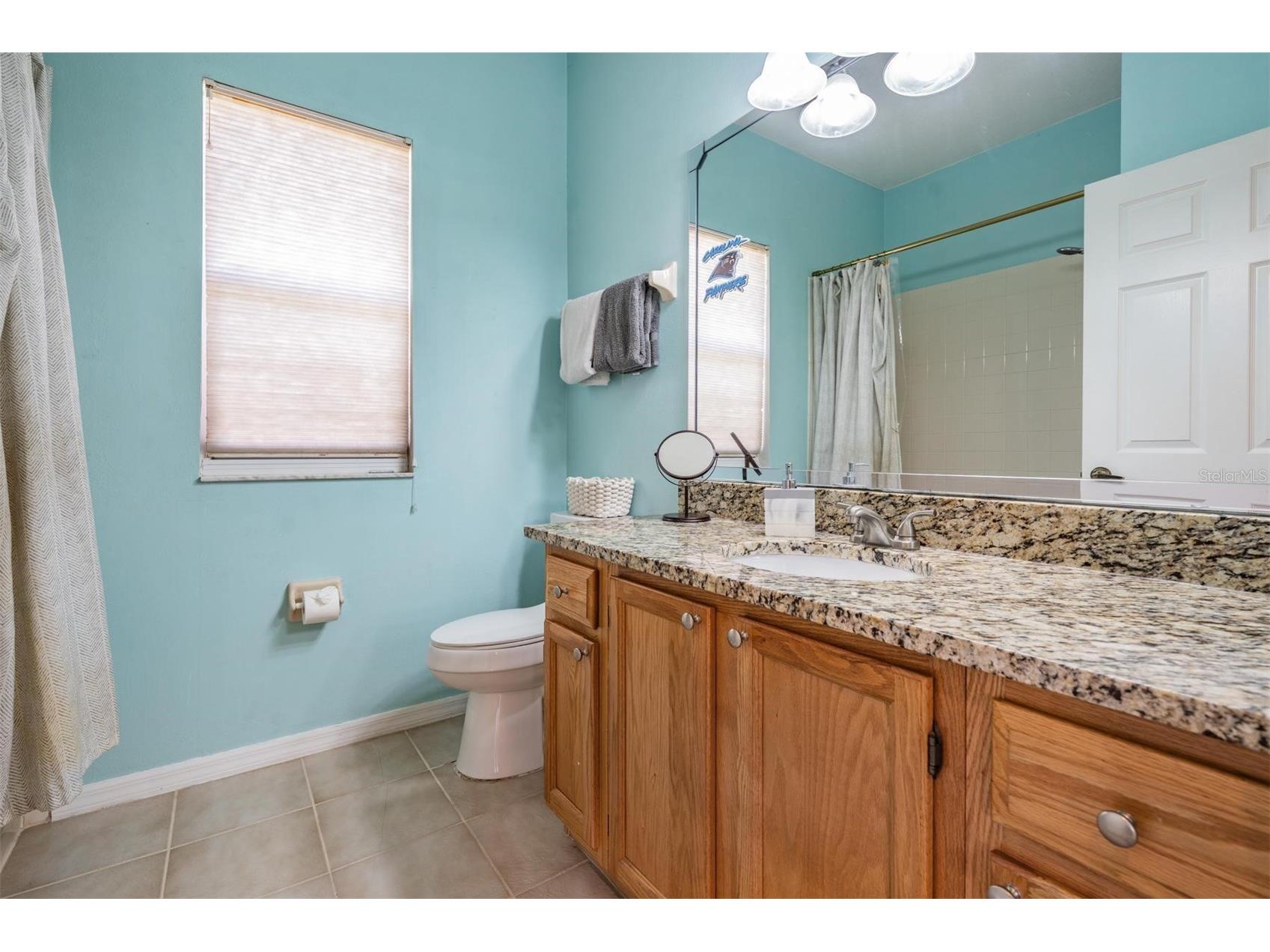 15922 Muirfield Drive Odessa FL 33556 TB8497721 image18