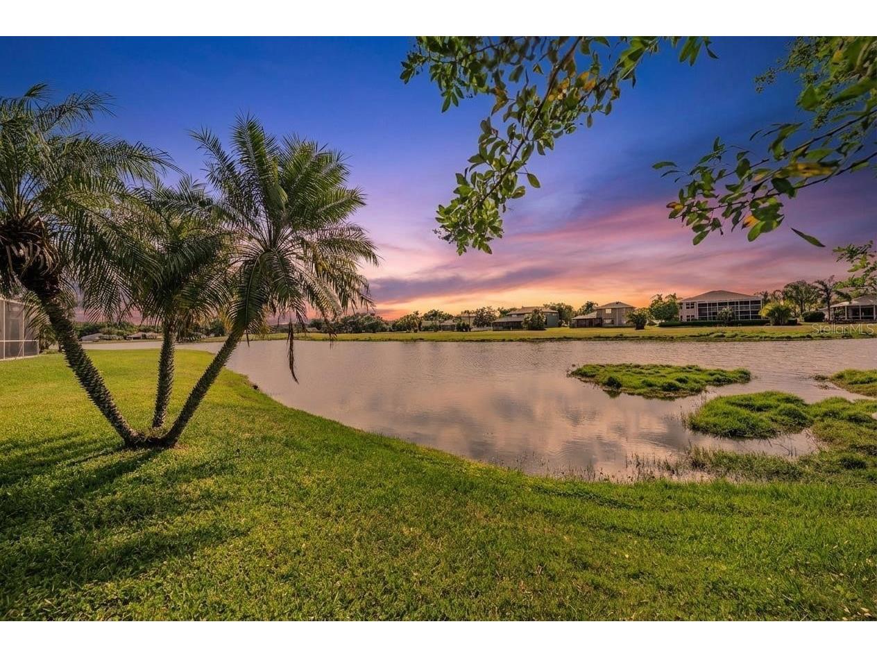 15922 Muirfield Drive Odessa FL 33556 TB8497721 image25