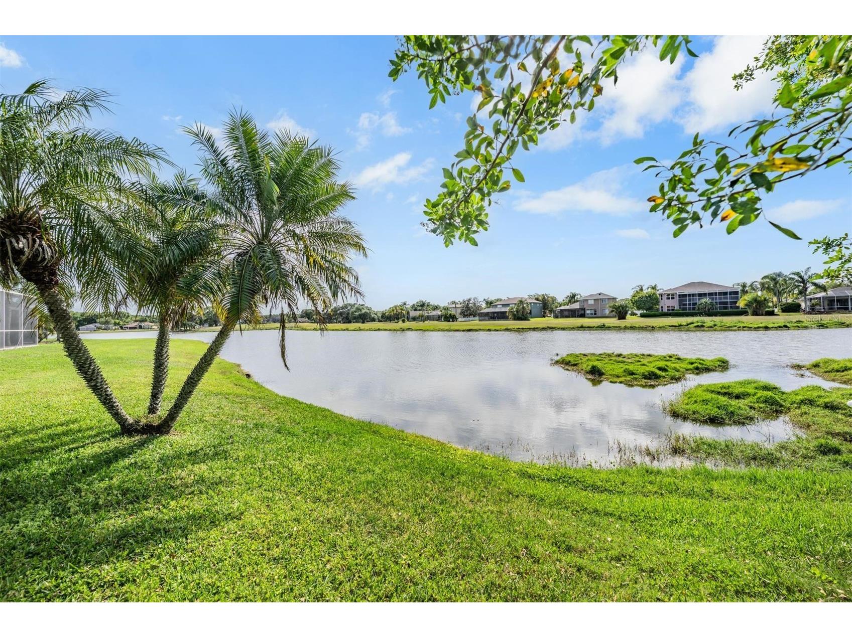 15922 Muirfield Drive Odessa FL 33556 TB8497721 image38