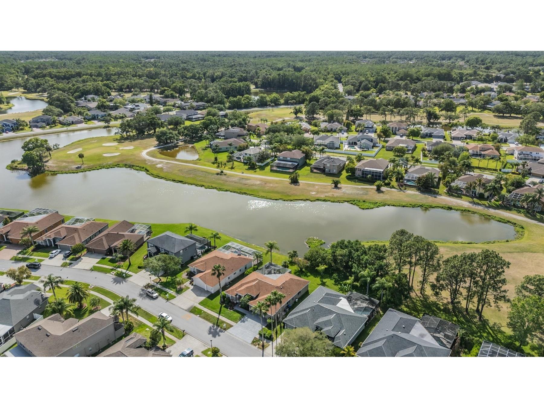 15922 Muirfield Drive Odessa FL 33556 TB8497721 image48
