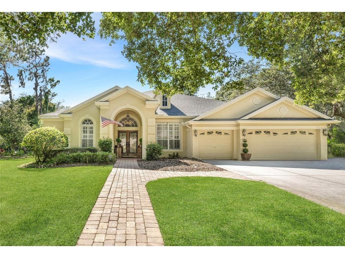 15922 Sorawater Drive Lithia FL 33547 O6108709 image1