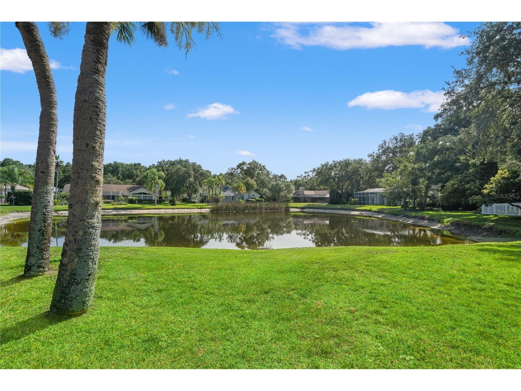 15923 Ellsworth Drive Tampa FL 33647 TB8529074 image57