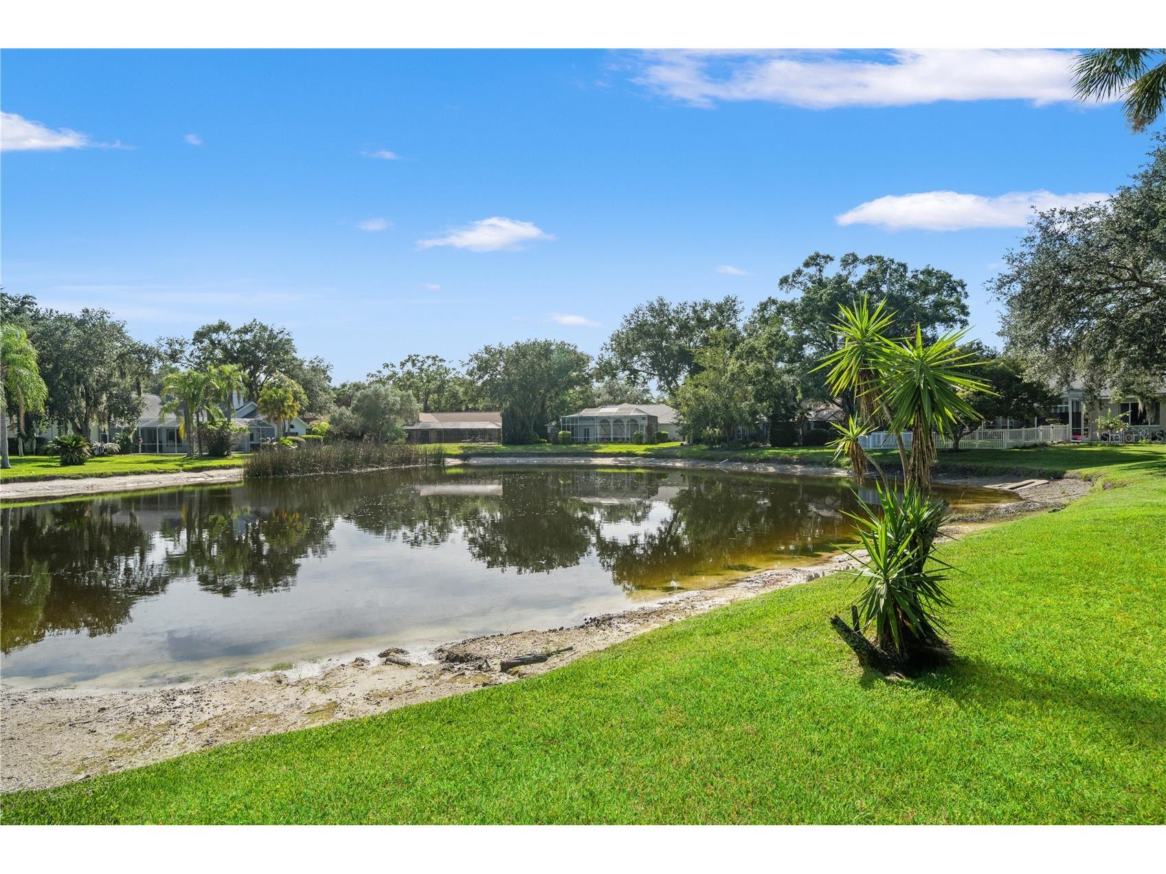 15923 Ellsworth Drive Tampa FL 33647 TB8529074 image63