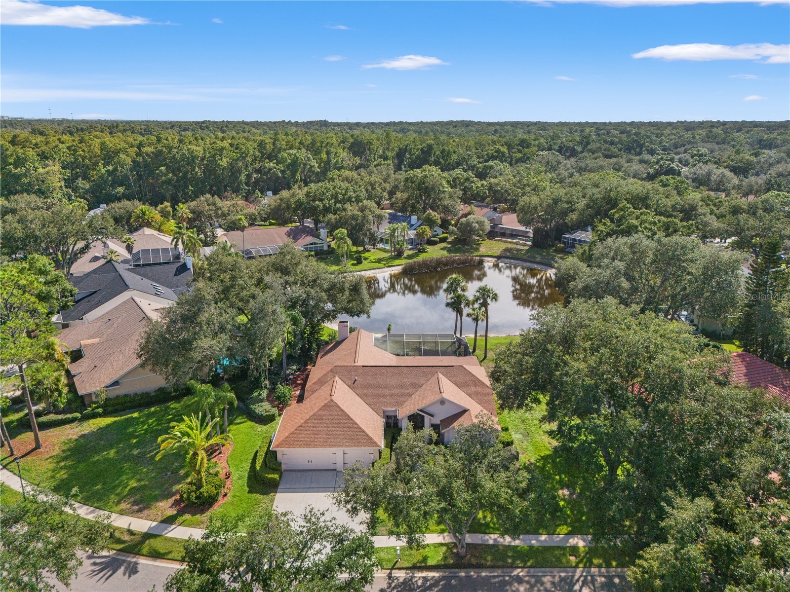 15923 Ellsworth Drive Tampa FL 33647 TB8529074 image66