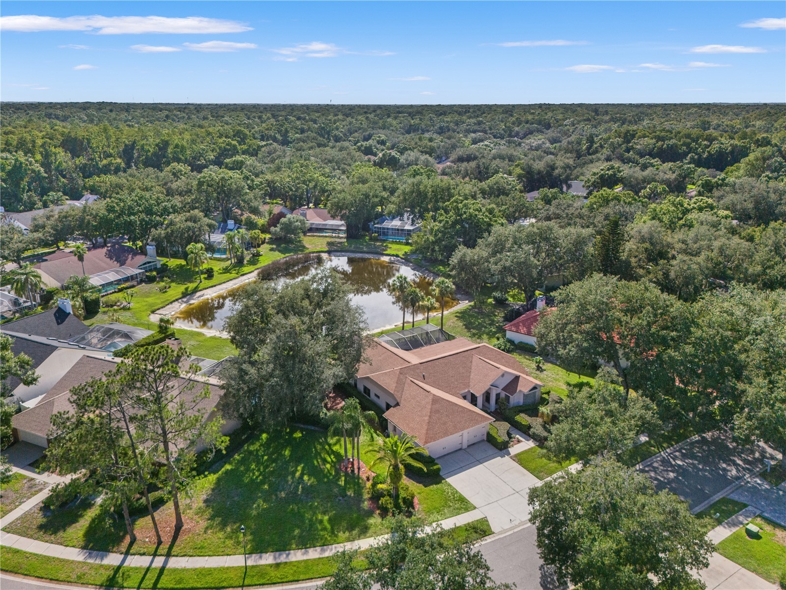 15923 Ellsworth Drive Tampa FL 33647 TB8529074 image68