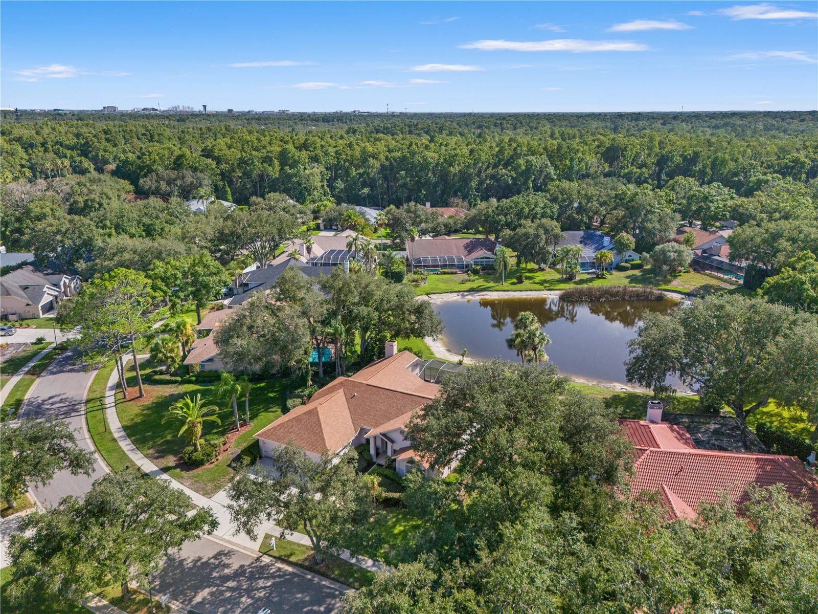 15923 Ellsworth Drive Tampa FL 33647 TB8529074 image69