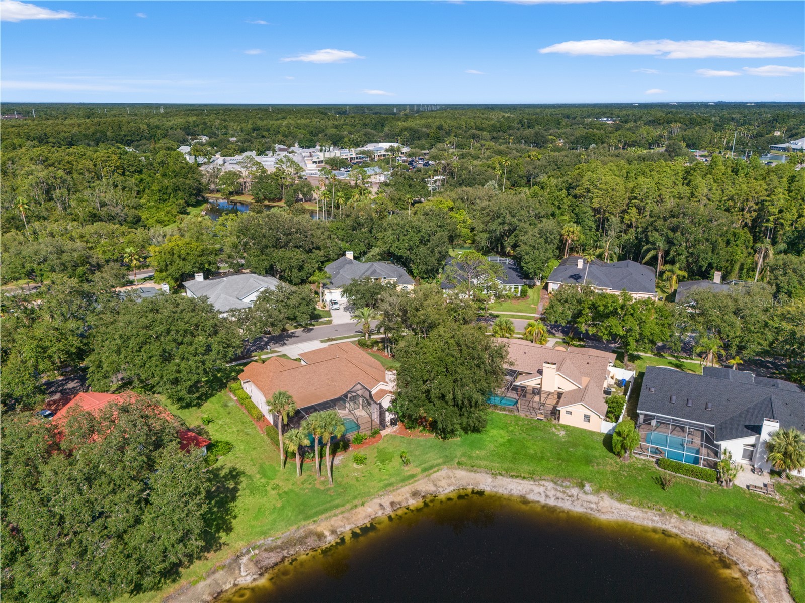 15923 Ellsworth Drive Tampa FL 33647 TB8529074 image72