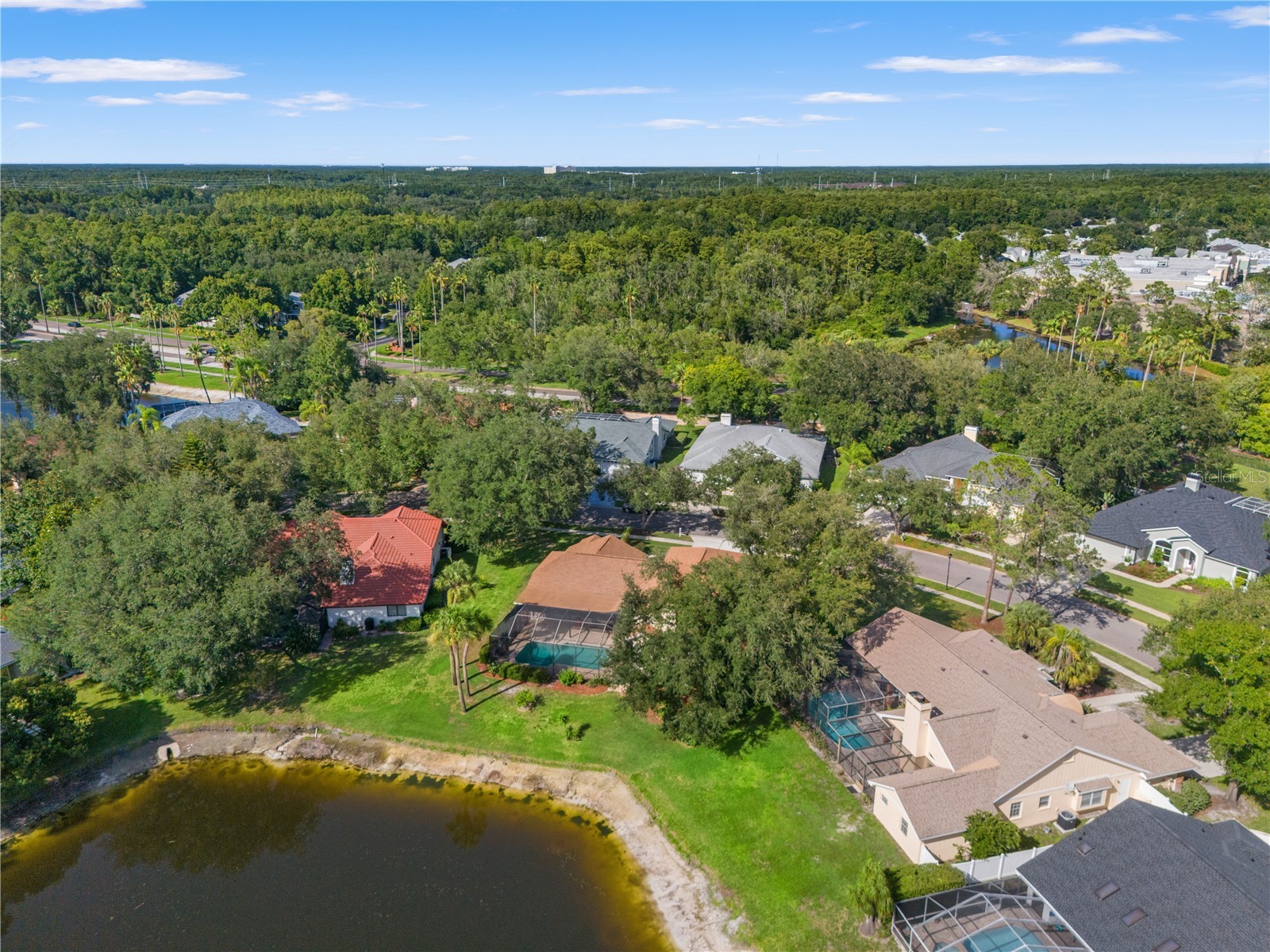 15923 Ellsworth Drive Tampa FL 33647 TB8529074 image74