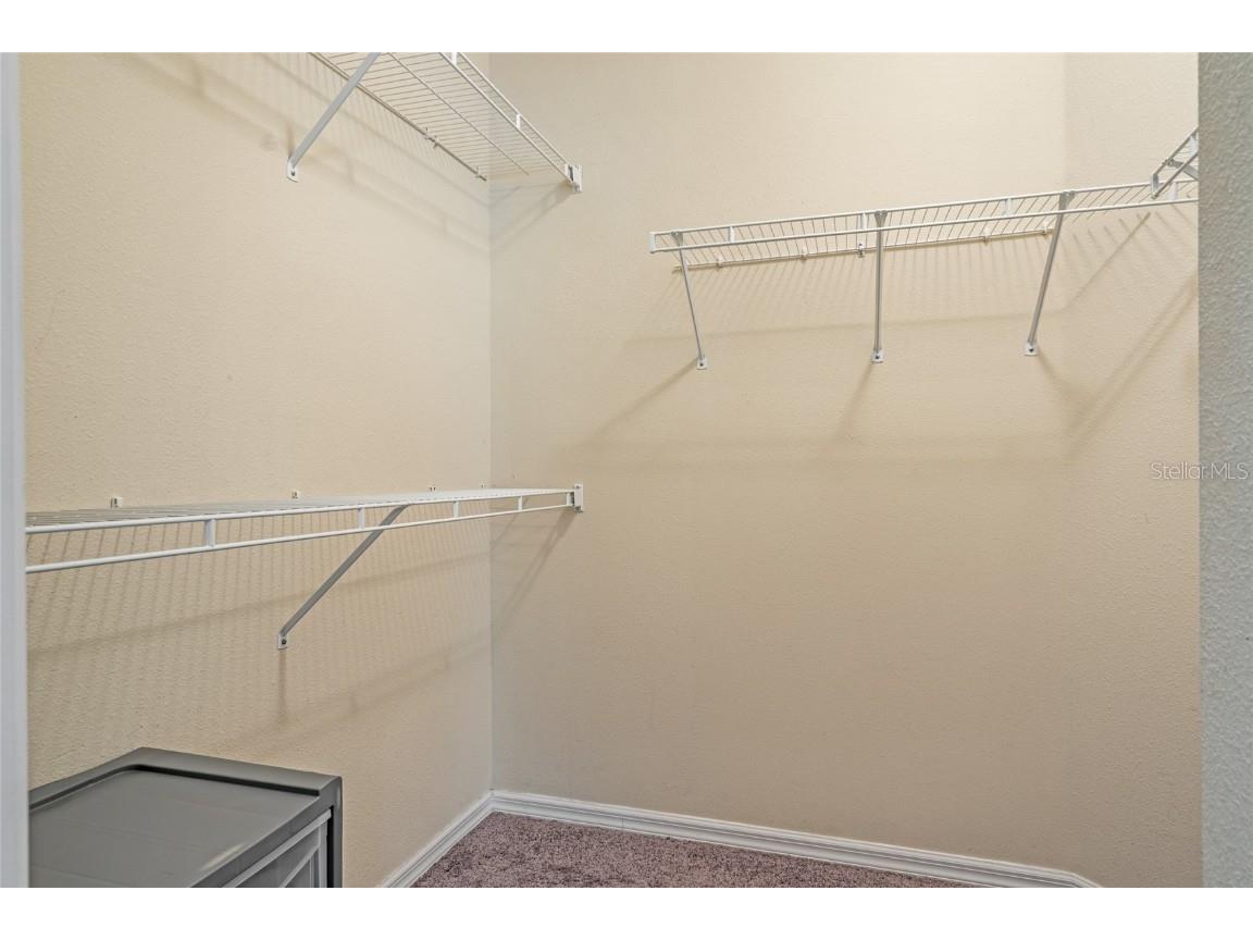 15929 Fishhawk Creek Lane Lithia FL 33547 TB8456865 image7