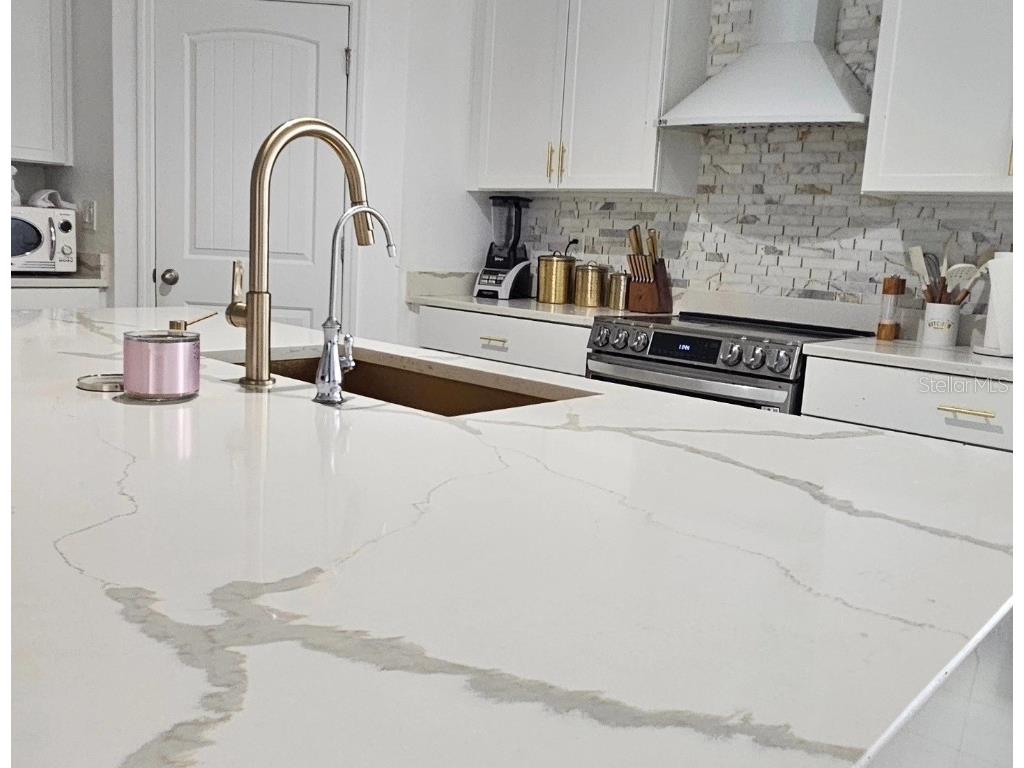 15929 Moonlight Bay Street Winter Garden FL 34787 S5137355 image3