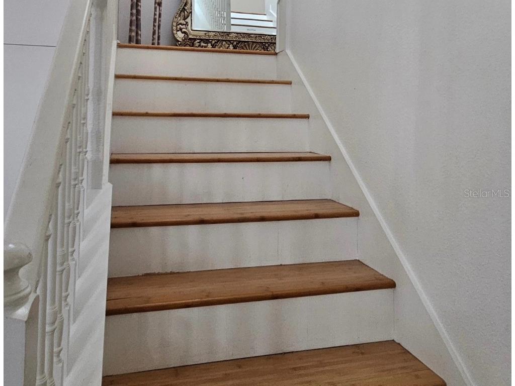 15929 Moonlight Bay Street Winter Garden FL 34787 S5137355 image4