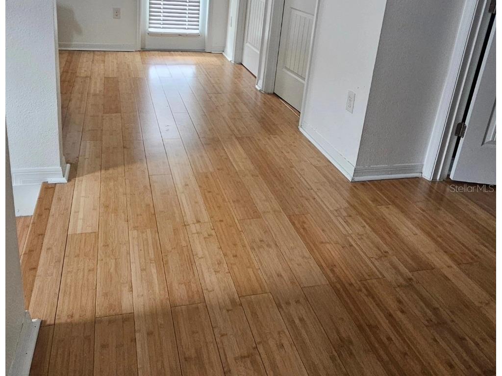 15929 Moonlight Bay Street Winter Garden FL 34787 S5137355 image5