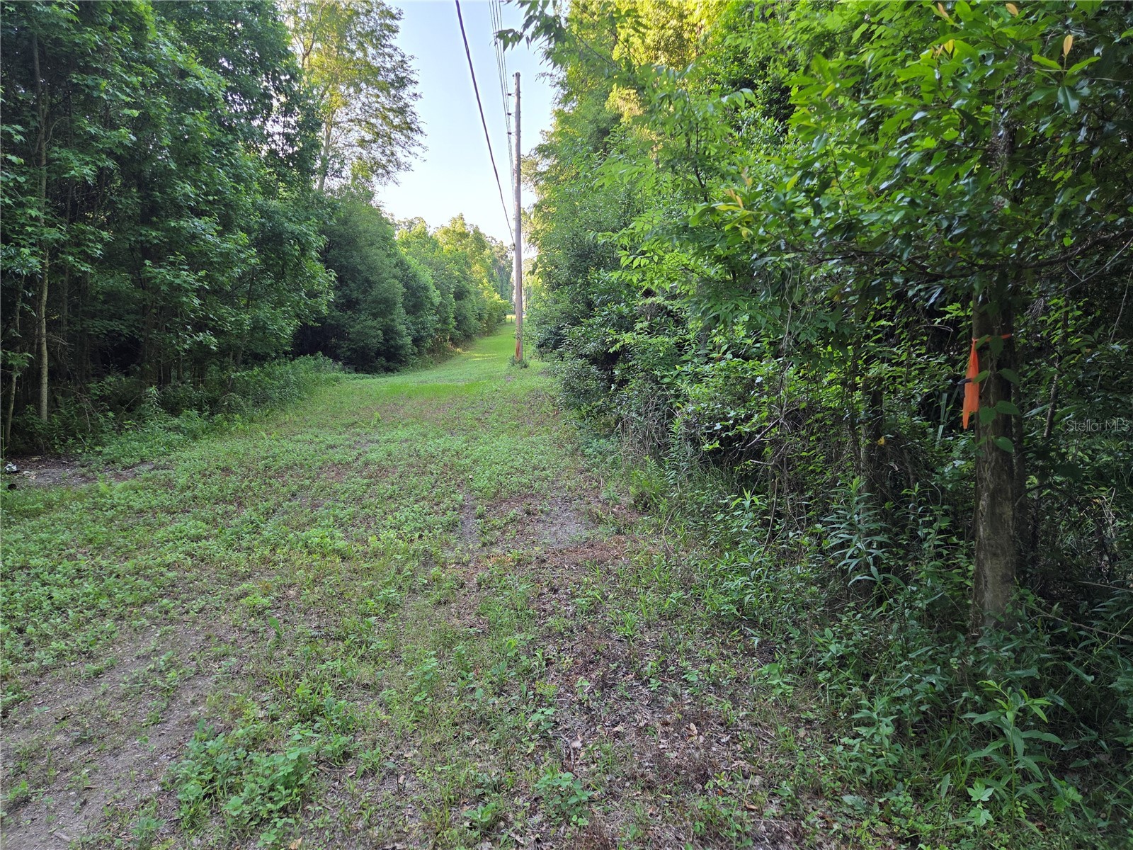 15929 NW 135th Terrace Alachua FL 32615 GC540535 image1
