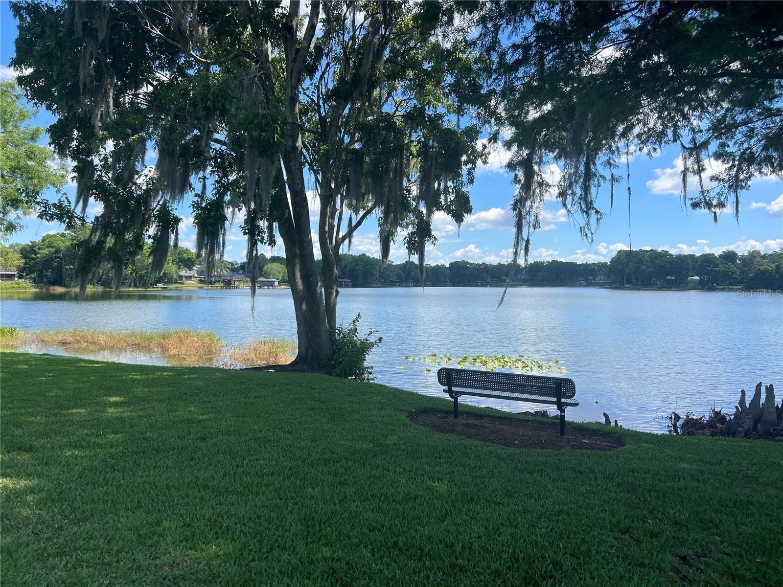 1593 Lawndale Circle Winter Park FL 32792 - LAKE FLORENCE O6402014 image45