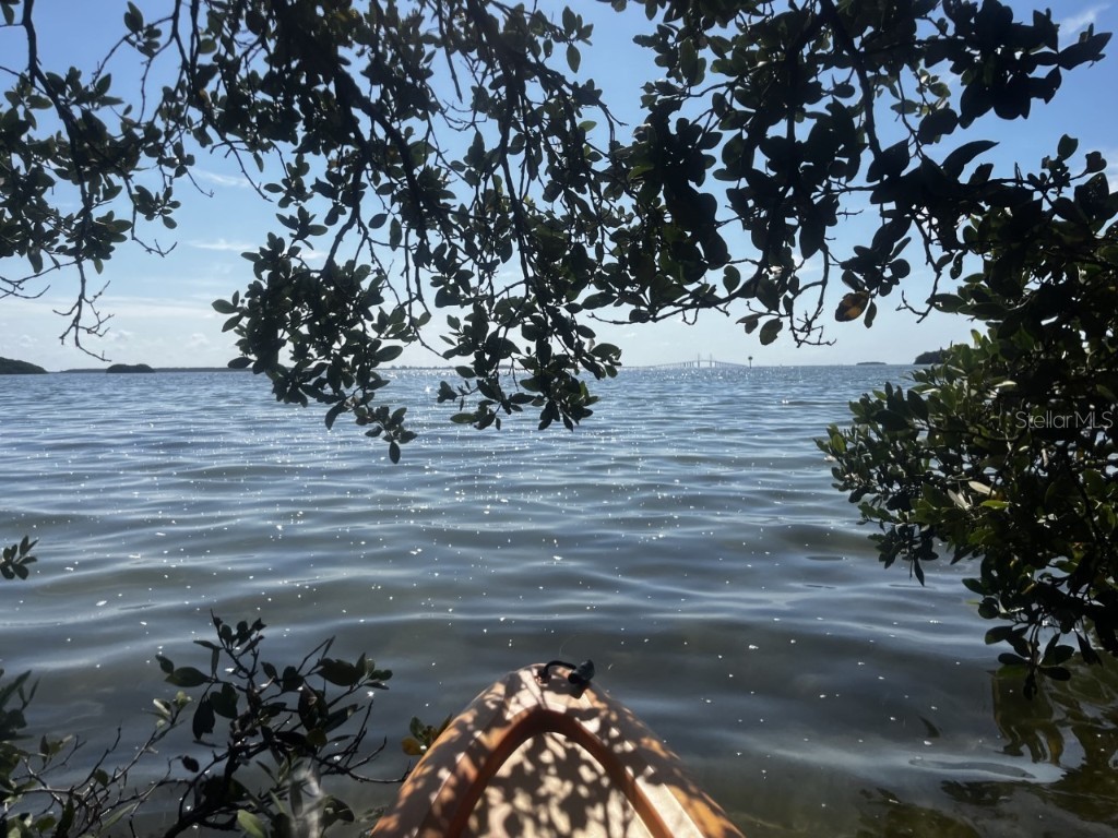 1593 Pinellas Bayway S Tierra Verde FL 33715 U8188287 image8