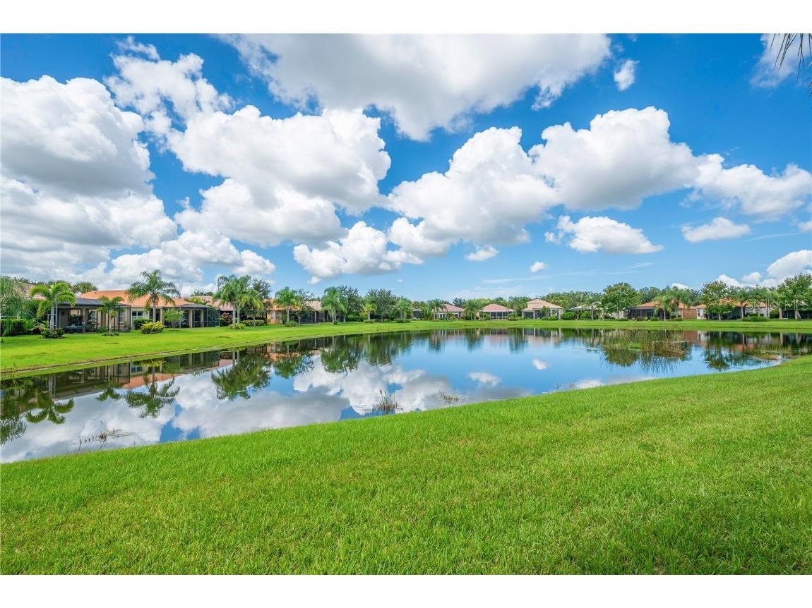 15931 Golden Lakes Drive Wimauma FL 33598 TB8422454 image28