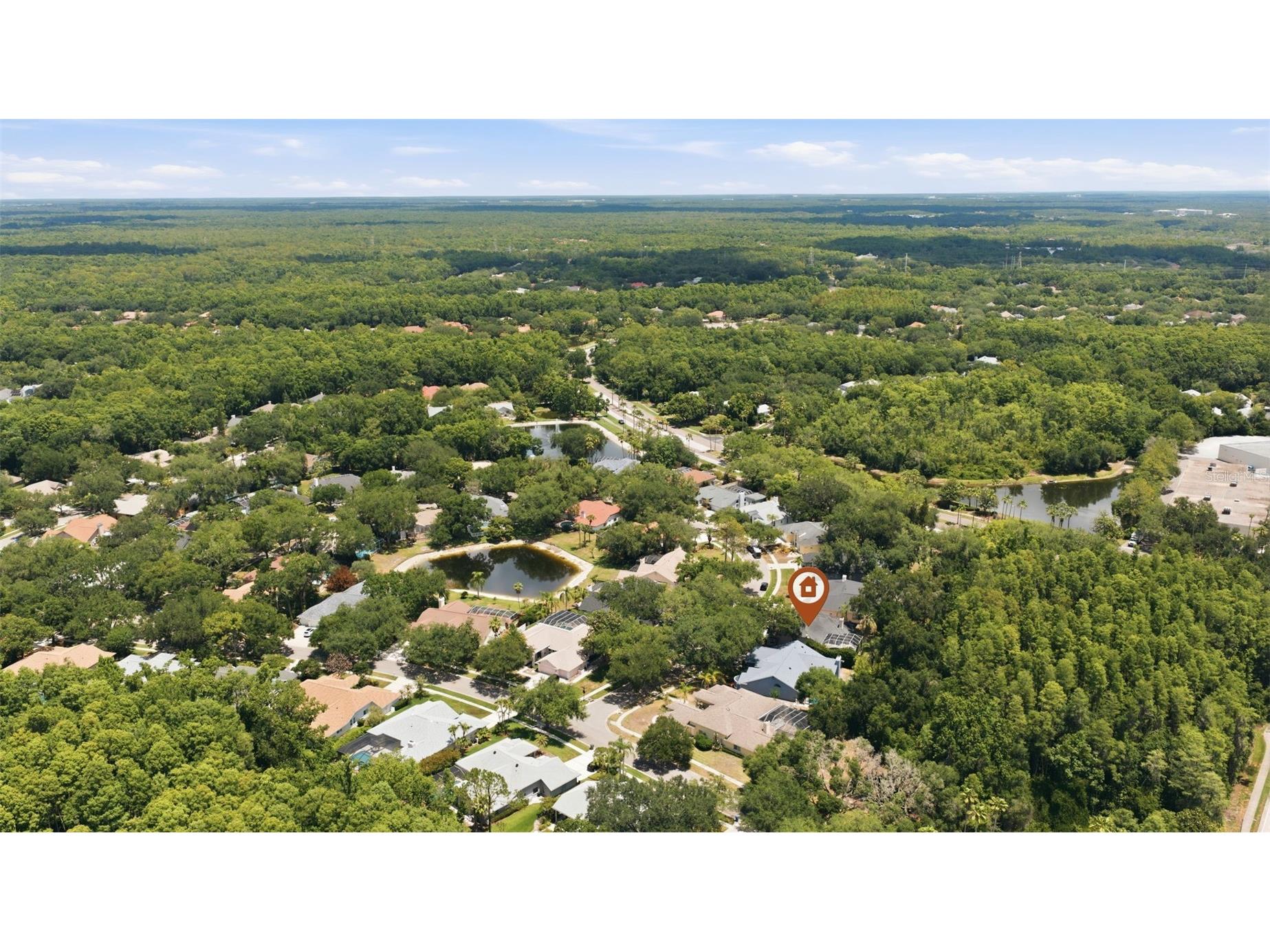 15932 Ellsworth Drive Tampa FL 33647 TB8511680 image40
