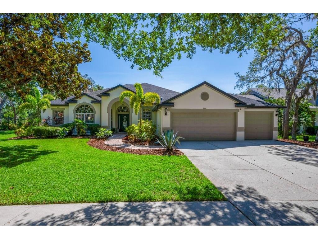 15934 Sorawater Drive Lithia FL 33547 TB8389807 image1
