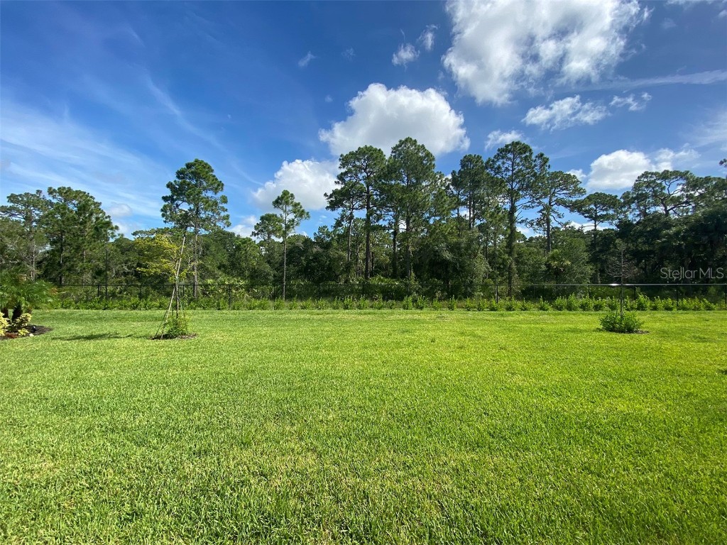 15936 Honeysuckle Street Port Charlotte FL 33953 D6144220 image27