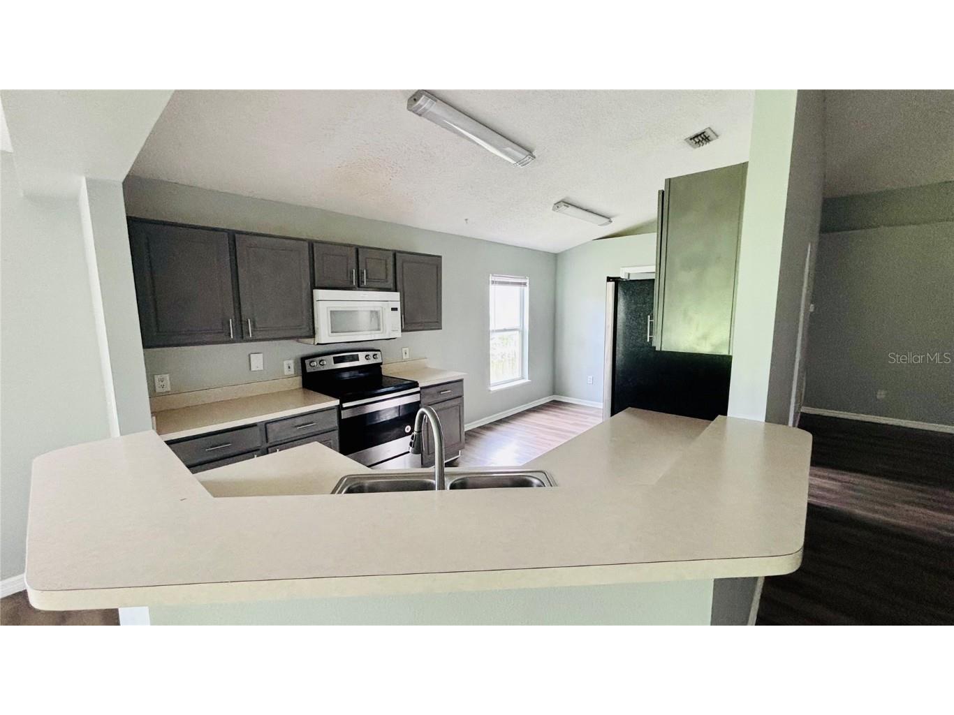 15937 Wilkinson Drive Clermont FL 34714 O6342831 image4