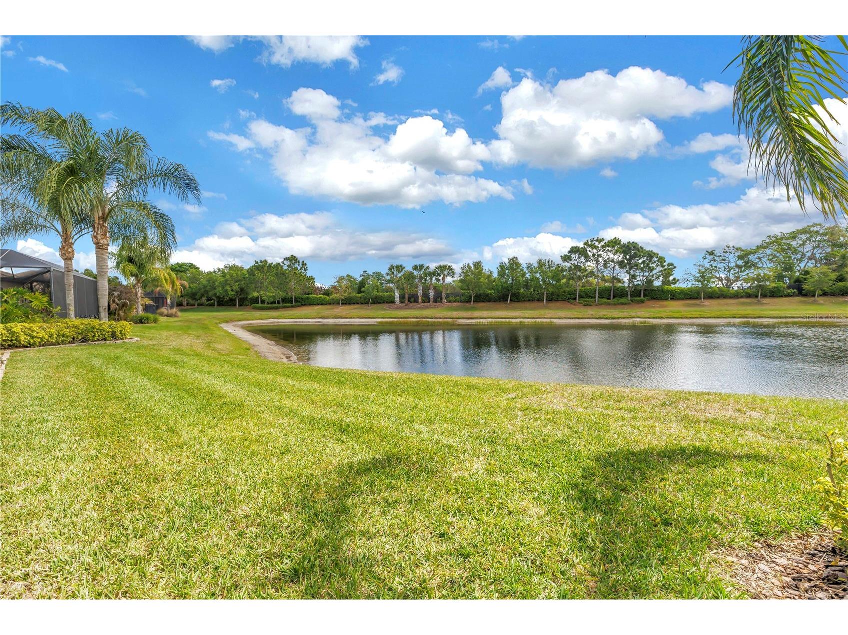 15939 Cape Coral Drive Wimauma FL 33598 TB8494015 image29