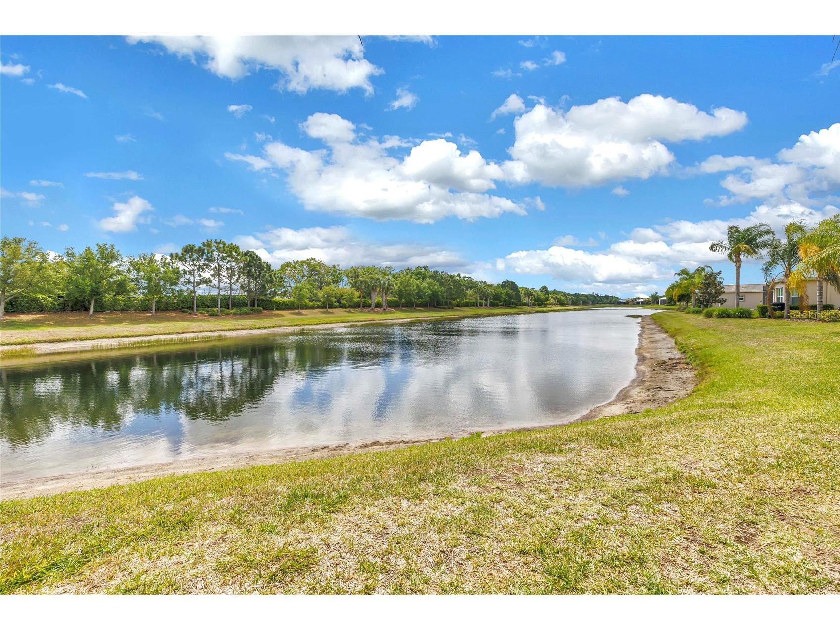 15939 Cape Coral Drive Wimauma FL 33598 TB8494015 image32
