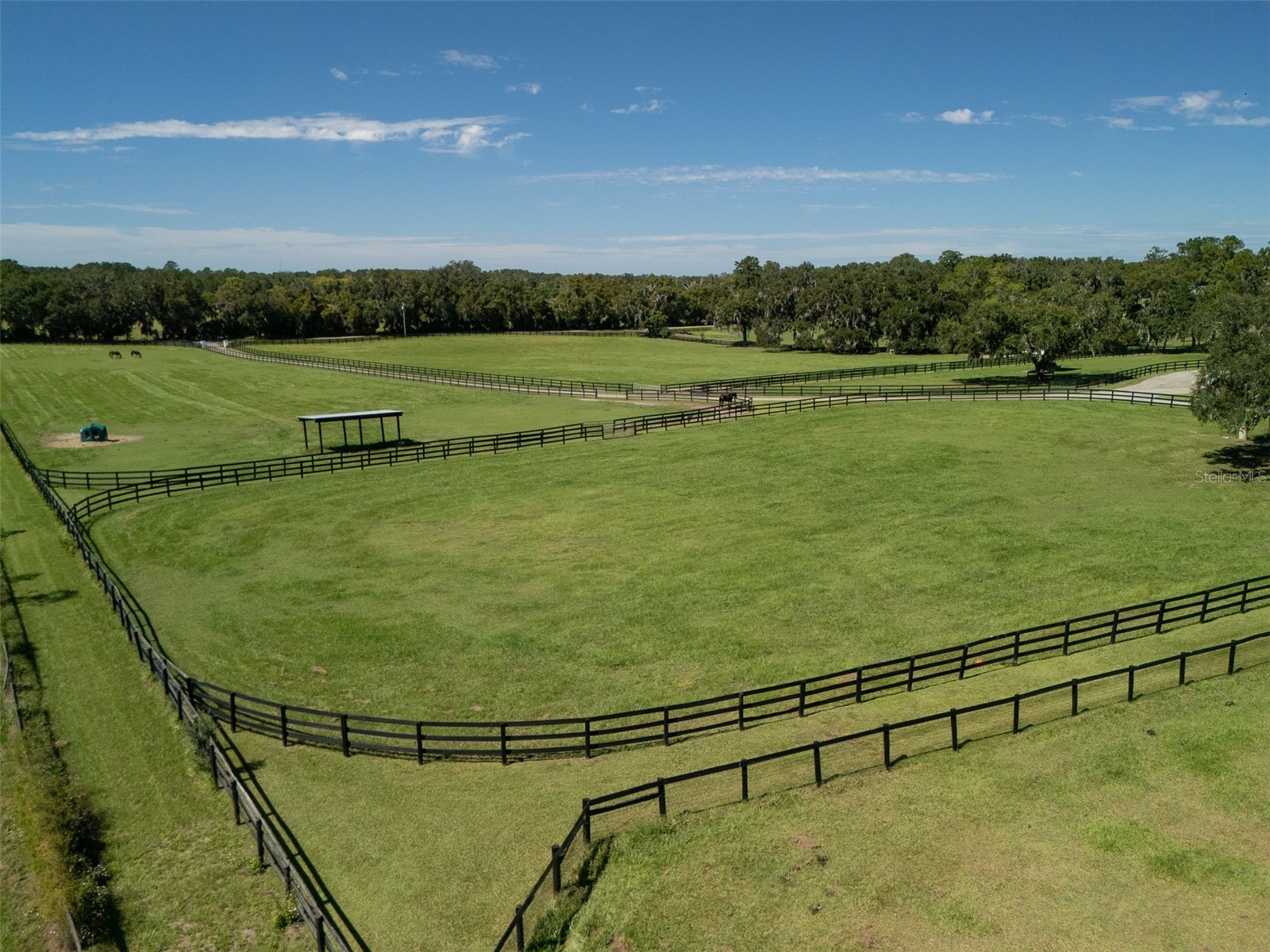 15939 NW 162nd Terrace Williston FL 32696 OM710378 image34