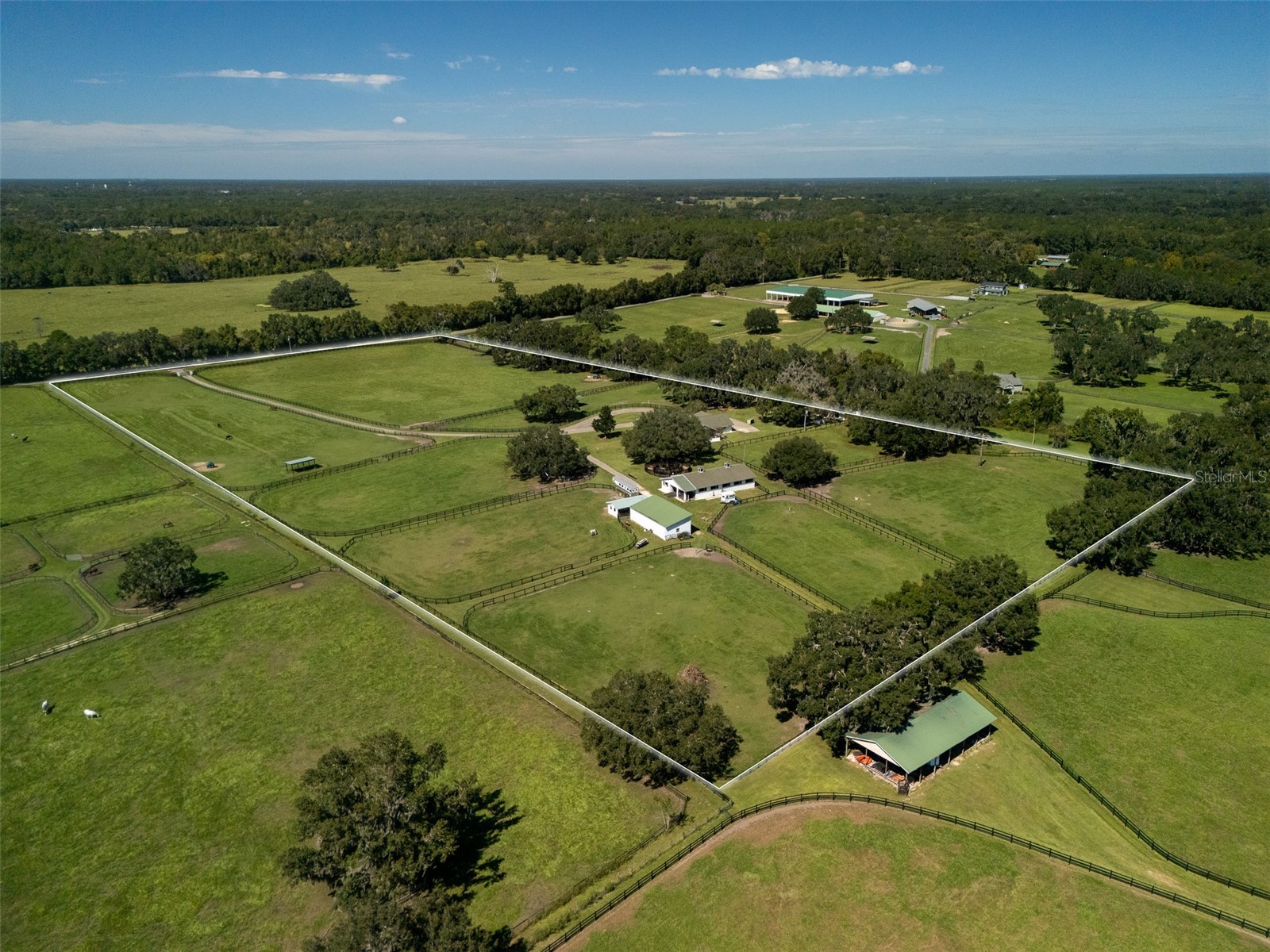 15939 NW 162nd Terrace Williston FL 32696 OM710378 image36