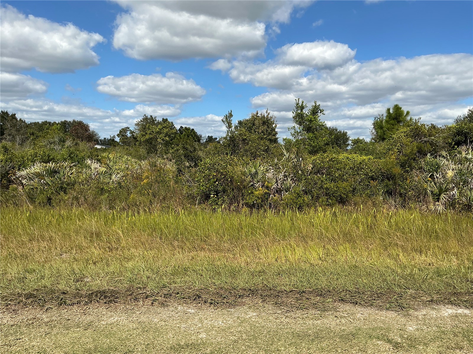15939 NW 264th Street Okeechobee FL 34972 OM714965 image1