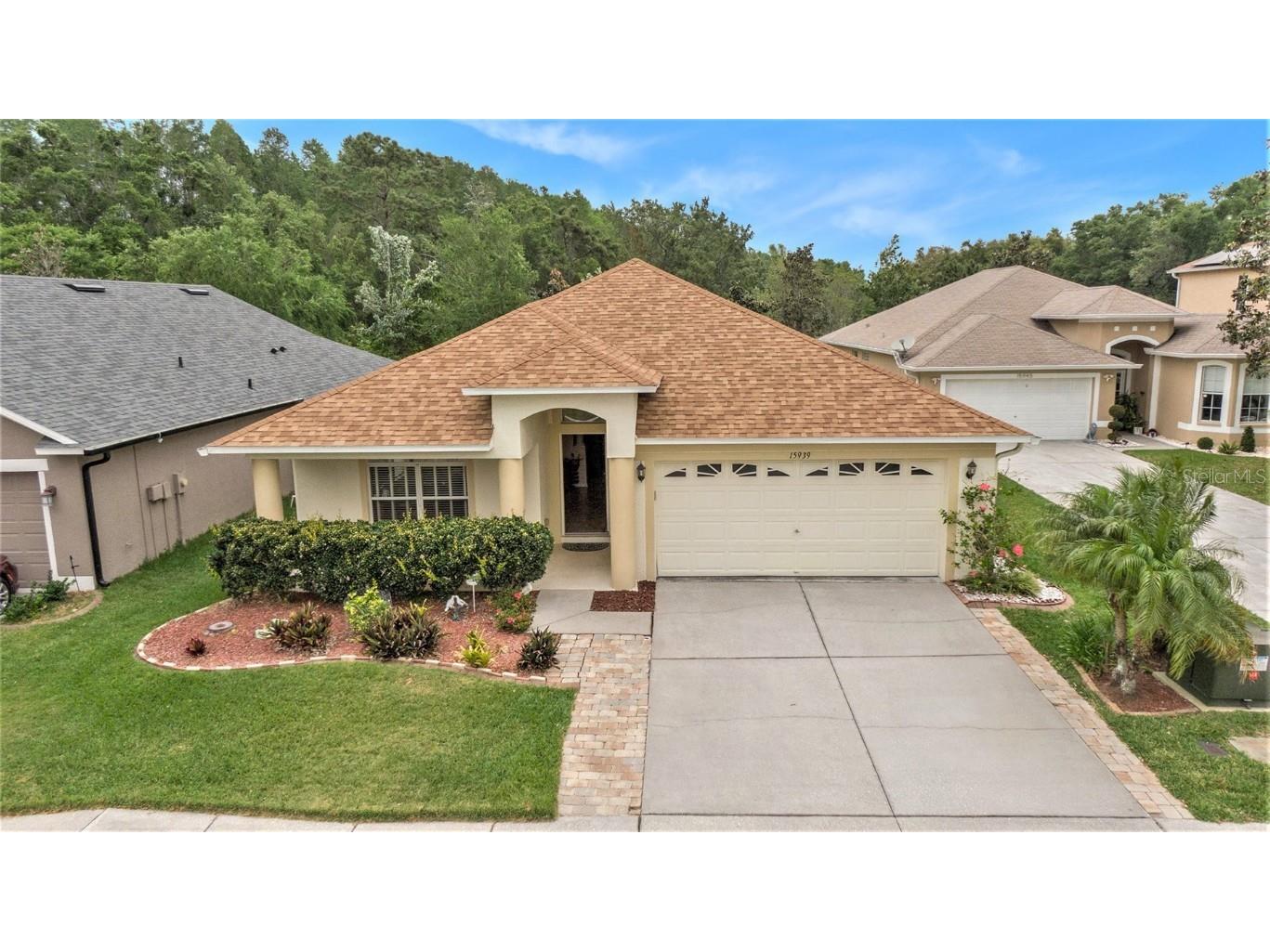 15939 Pond Rush Court Land O Lakes FL 34638 T3517447 image1