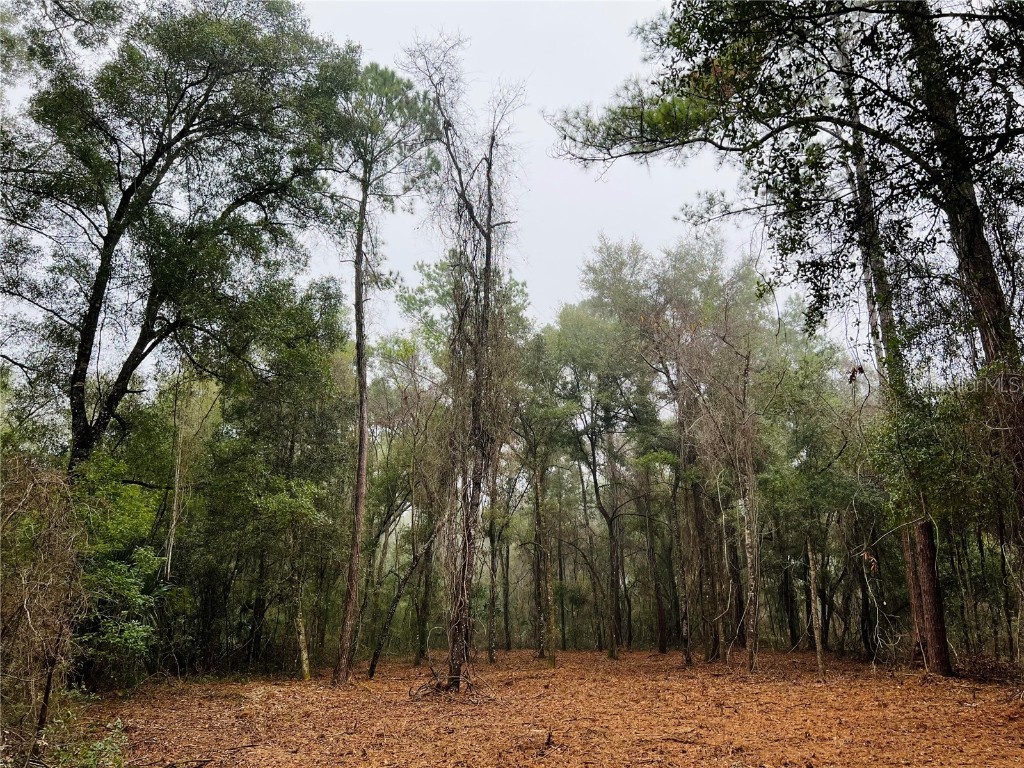 1594 E Derby Drive Citrus Springs FL 34434 O6112937 image1