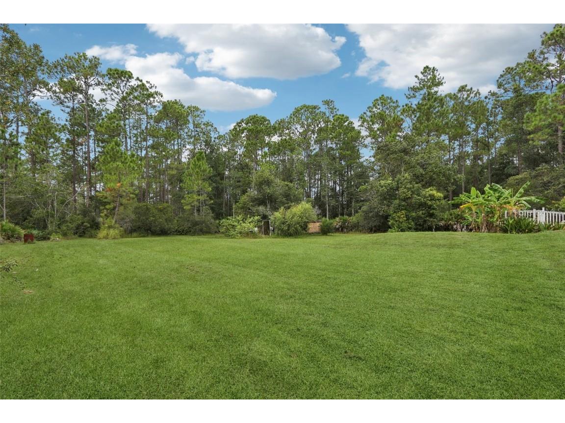 1594 Papaya Street Bunnell FL 32110 FC313054 image40