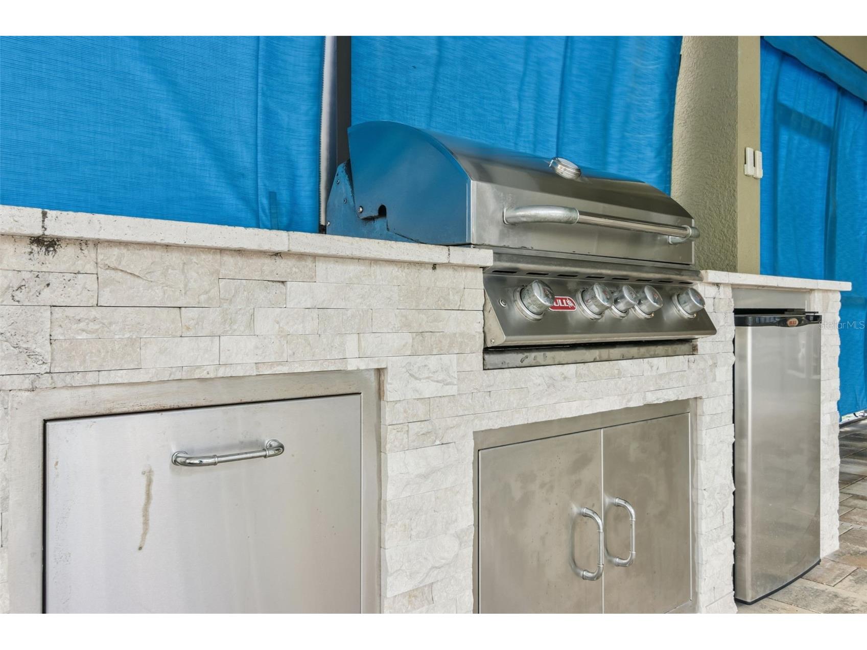 15940 Ternglade Drive Lithia FL 33547 O6390089 image48