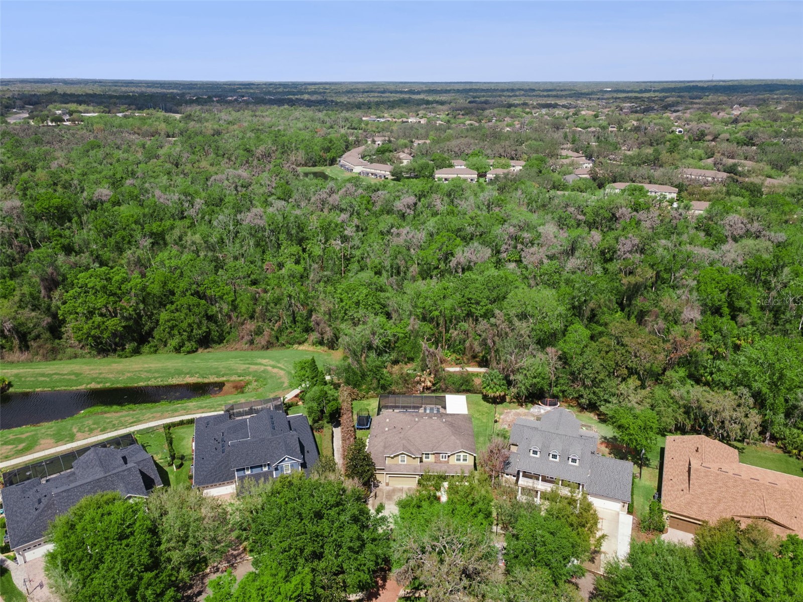 15940 Ternglade Drive Lithia FL 33547 O6390089 image56